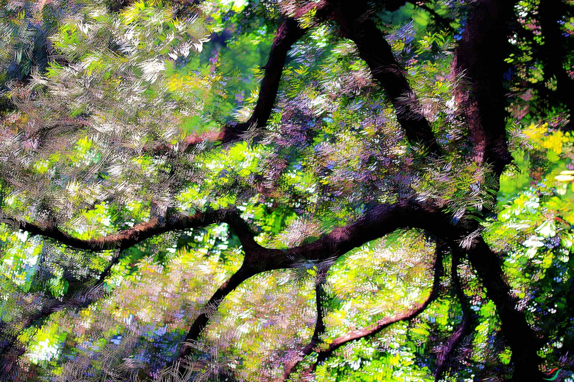 ���շ����������ع⣩��