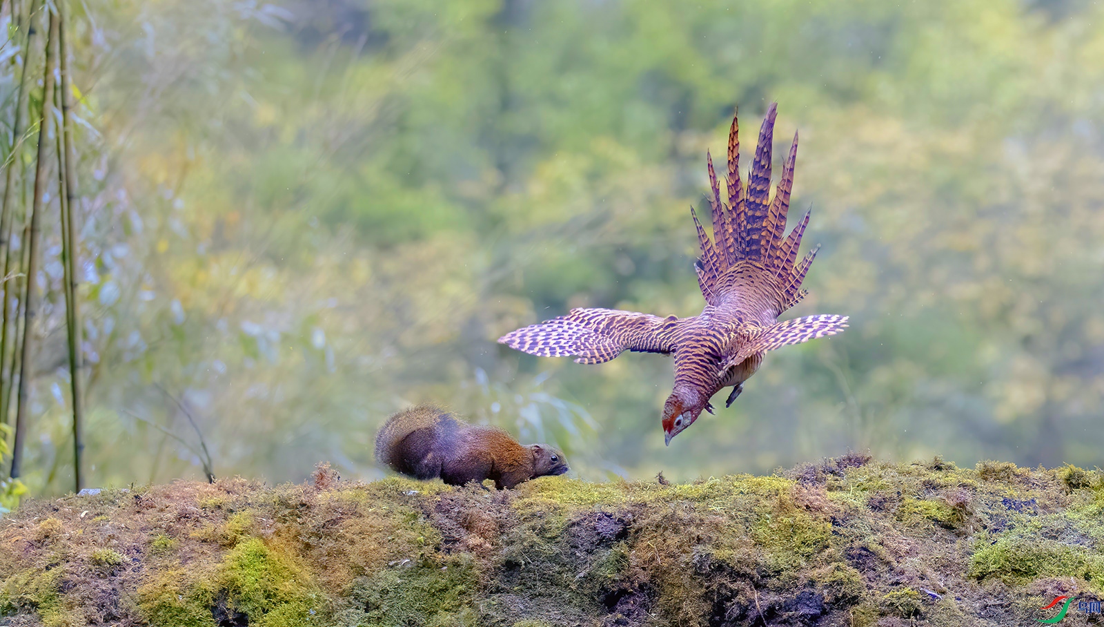 IMG_9207 ���� 2.jpg