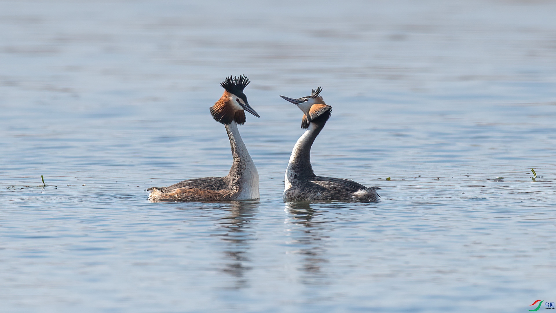 1DX_9853 ���� 2.jpg