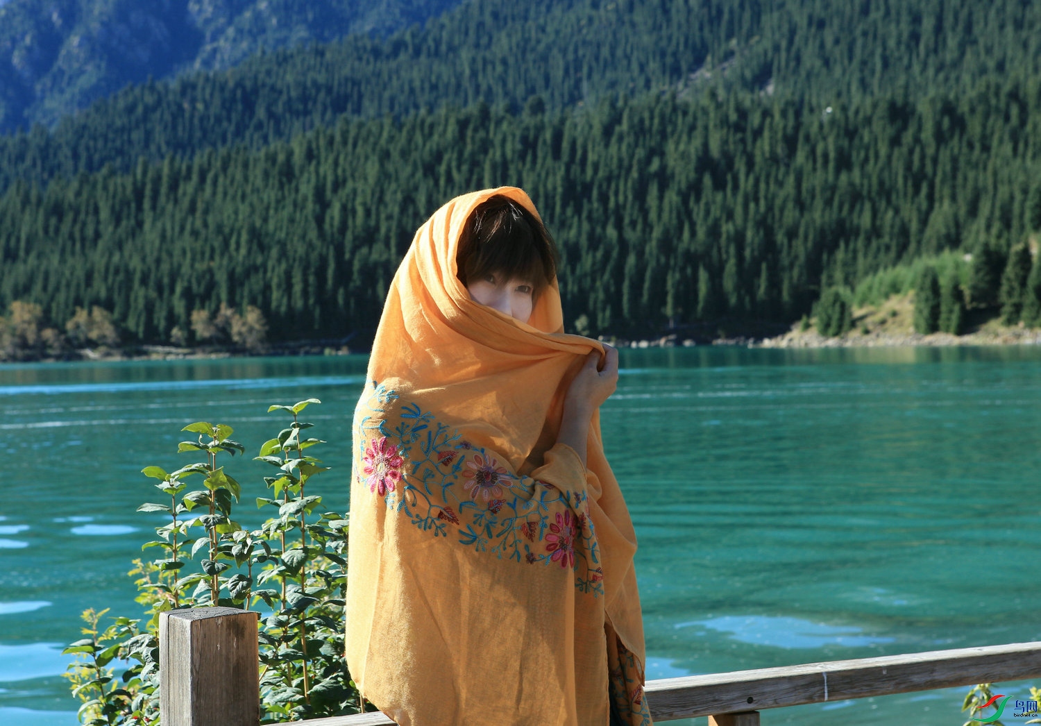 A6 ֮�����_����.jpg