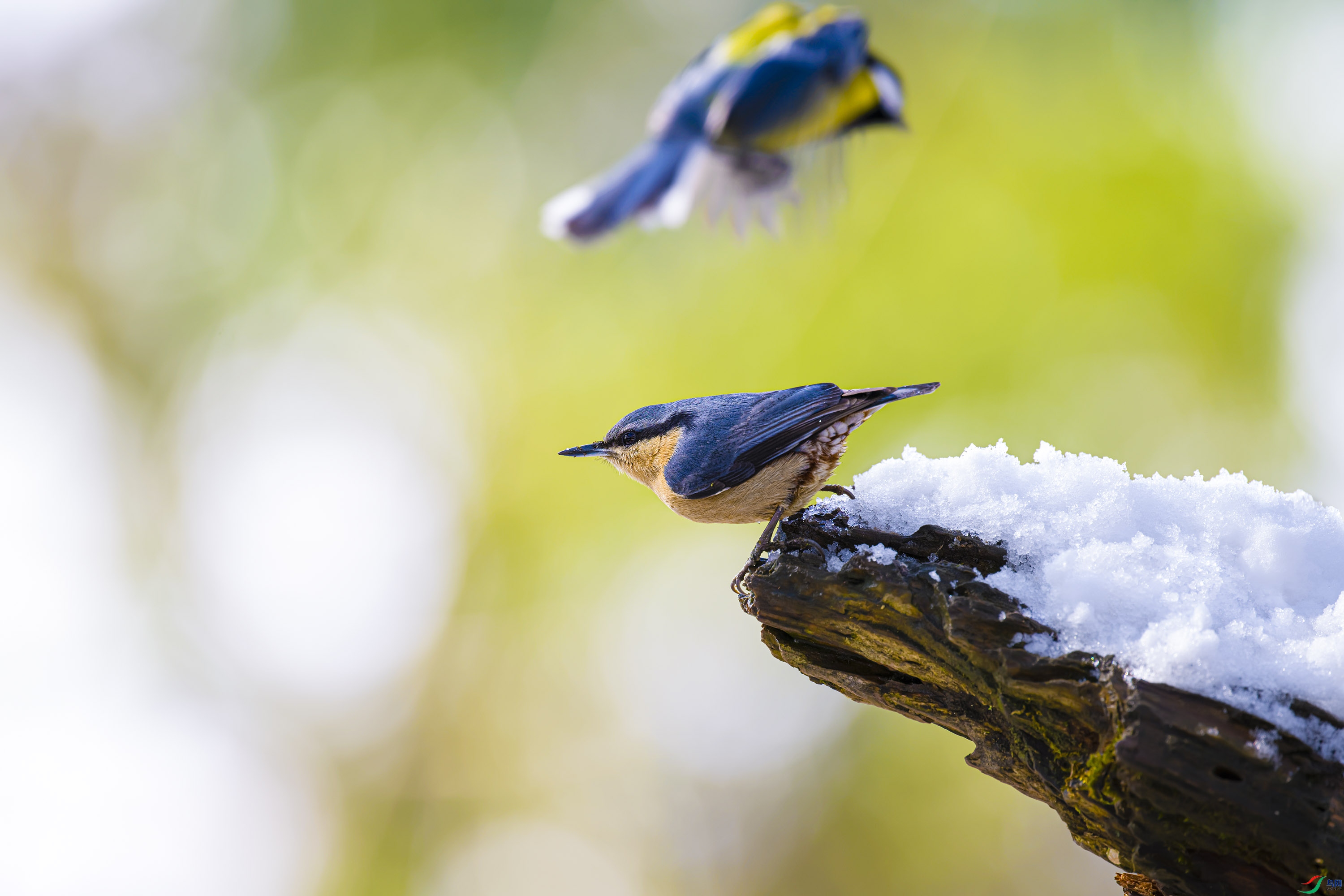 _DSC8952_DxO.jpg