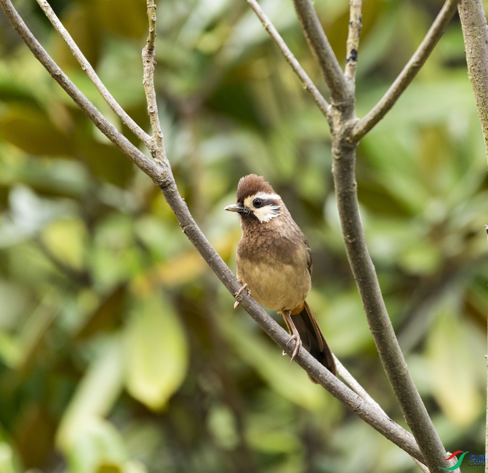 DSC_3494_1.jpg