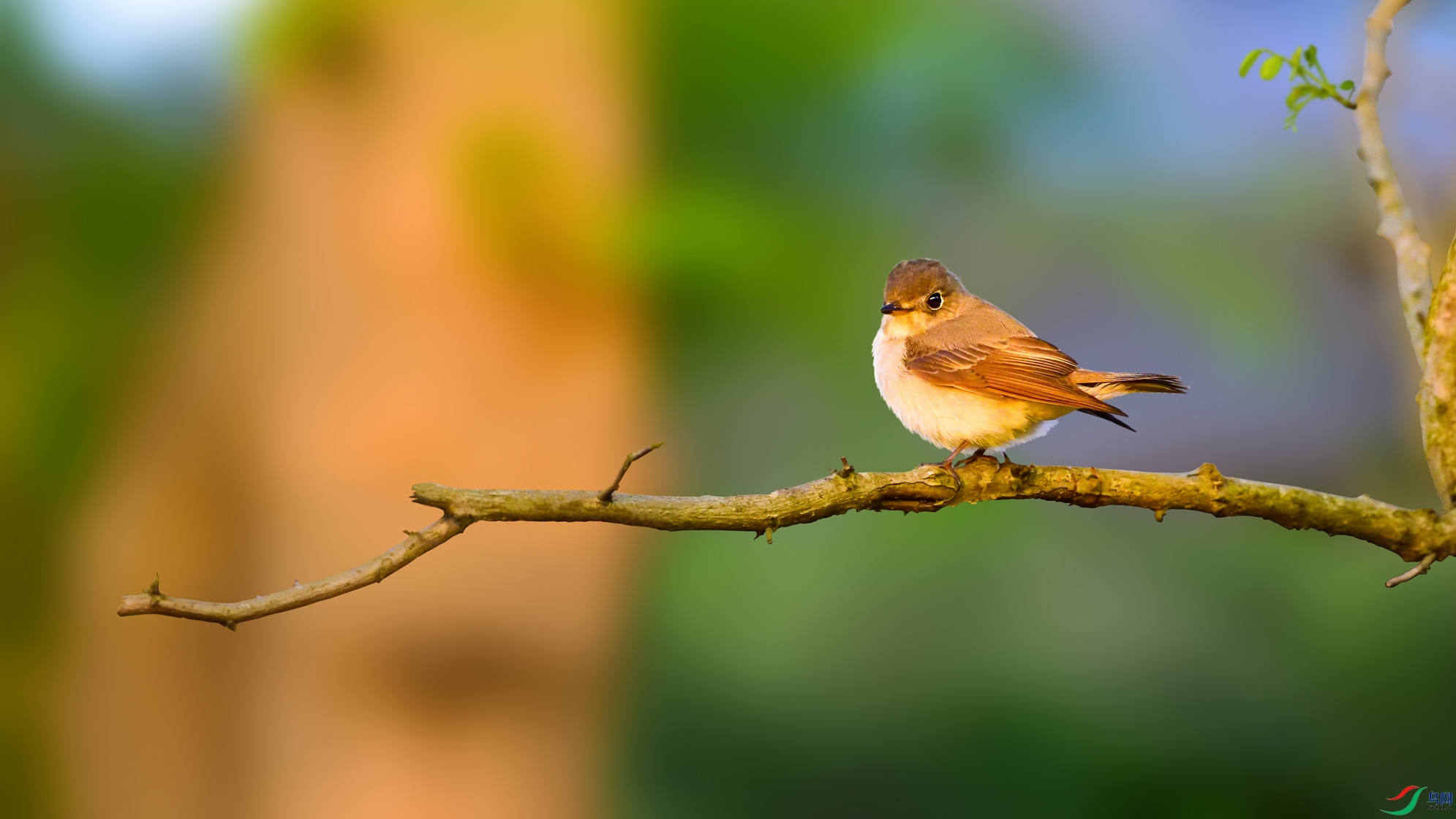 ���ؼ���DSC_7701.jpg