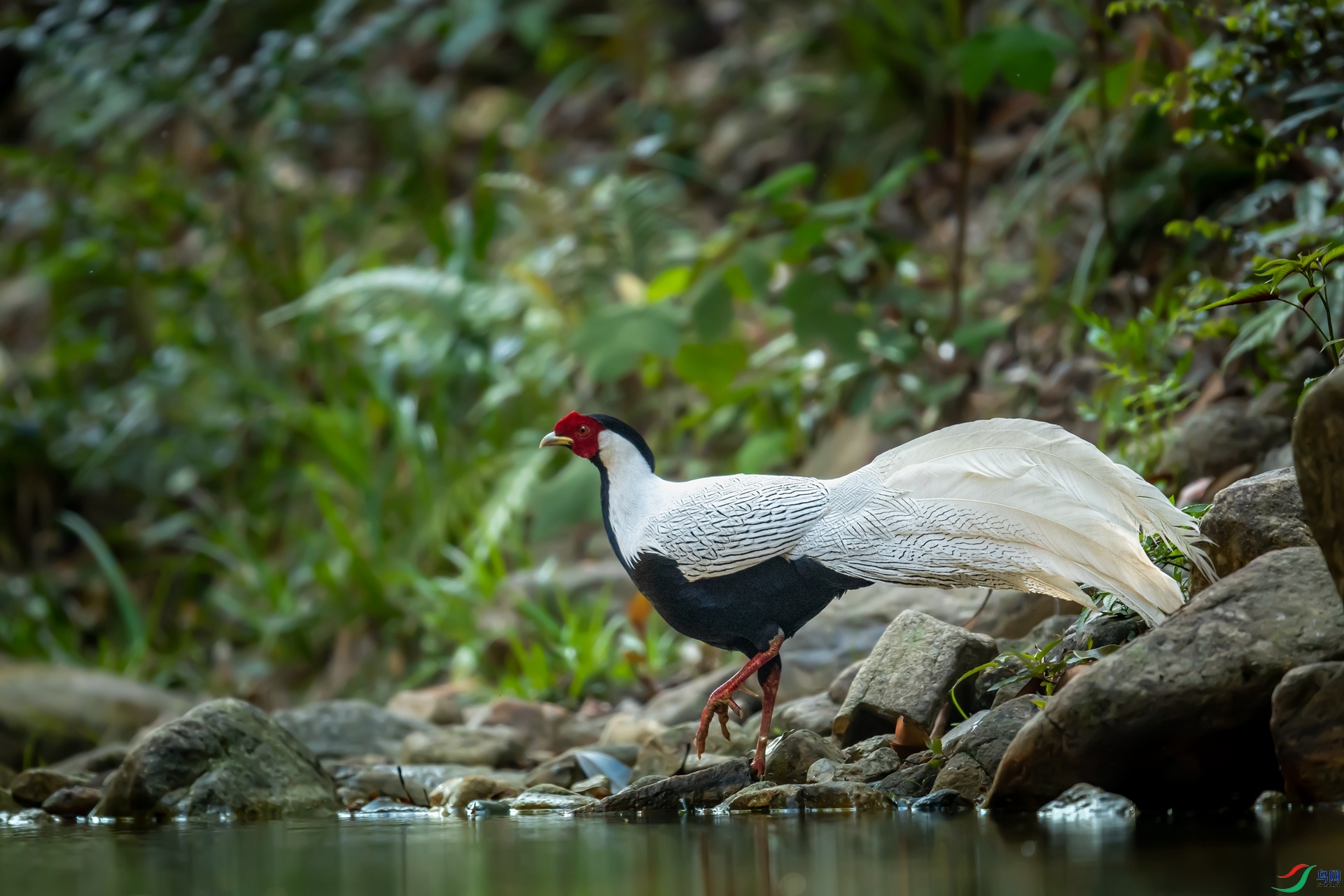 ����_DSC8665-1.jpg