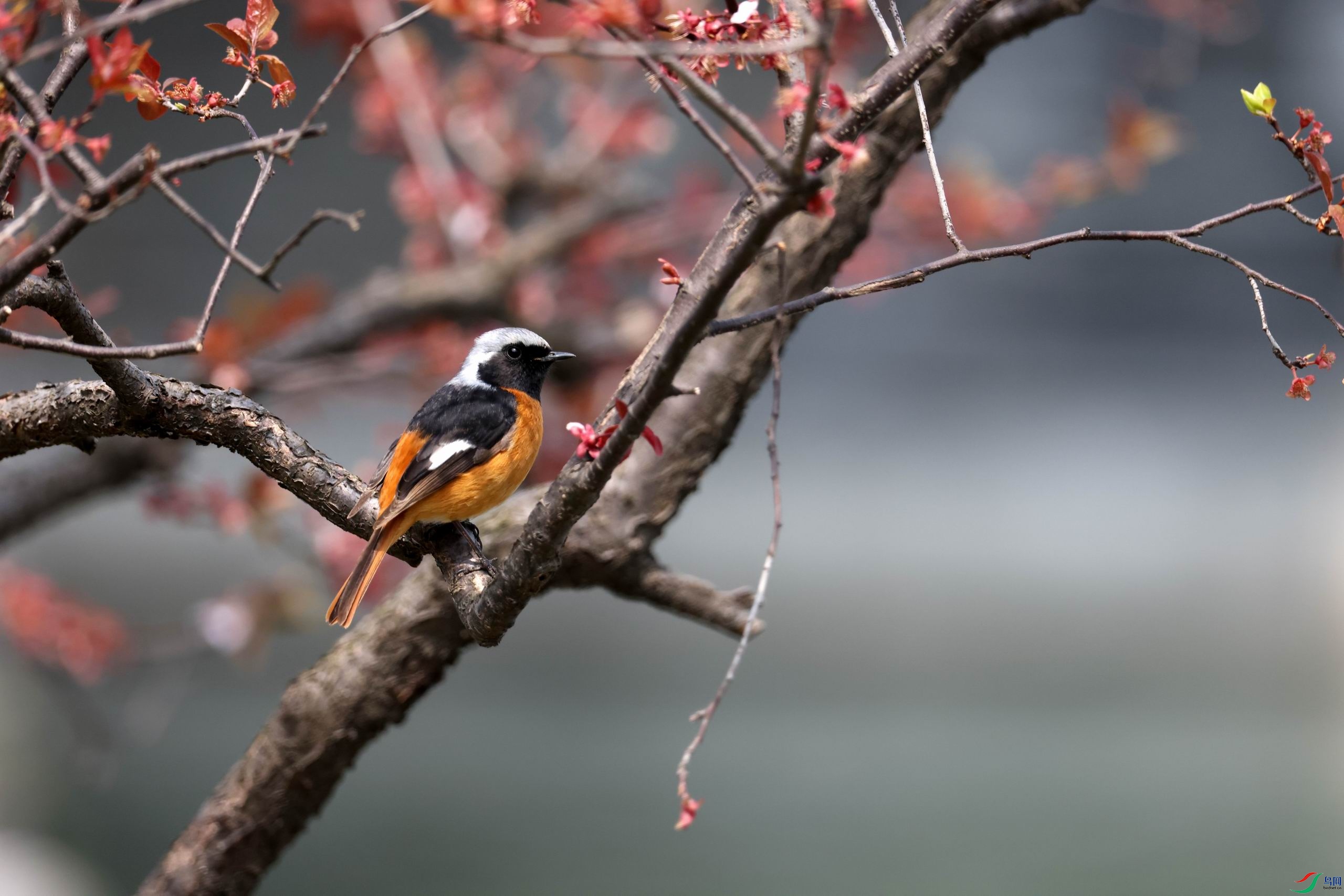 ������С �����ع� 0E5A3429.JPG