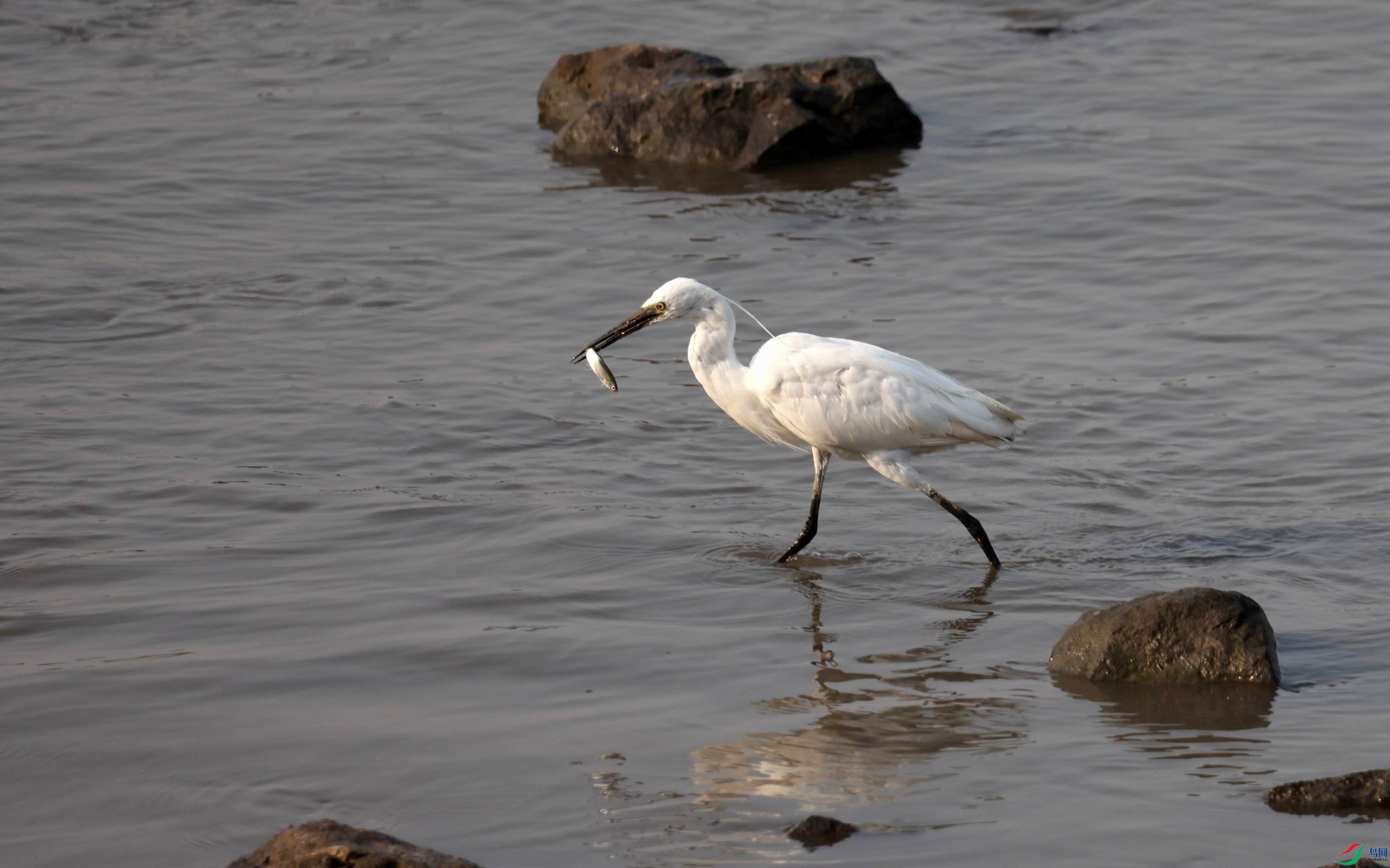 ������С �����ع� 0E5A3248q.jpg