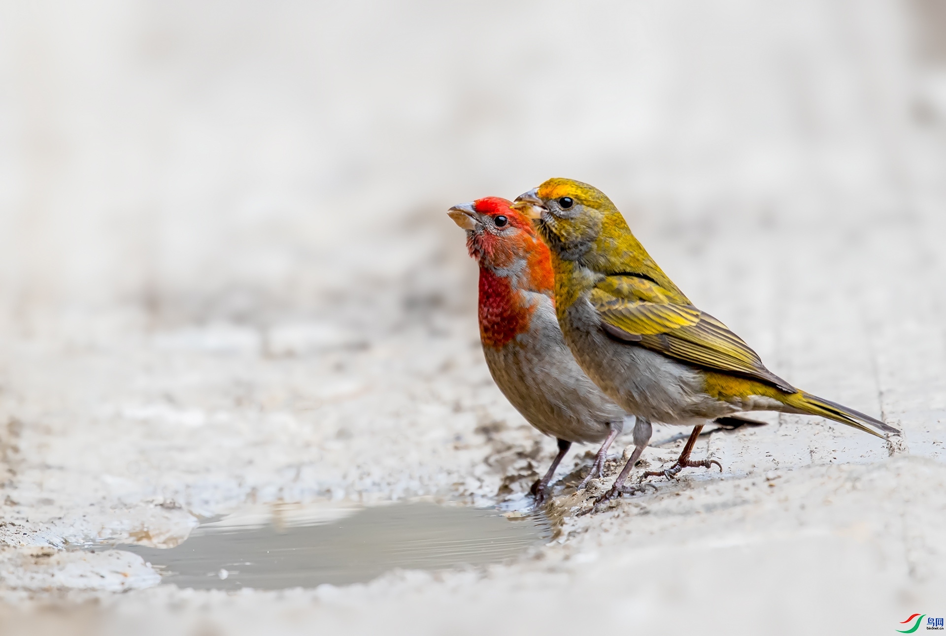 77089  ��ʦ�������Ĵ�ʡ������������.jpg