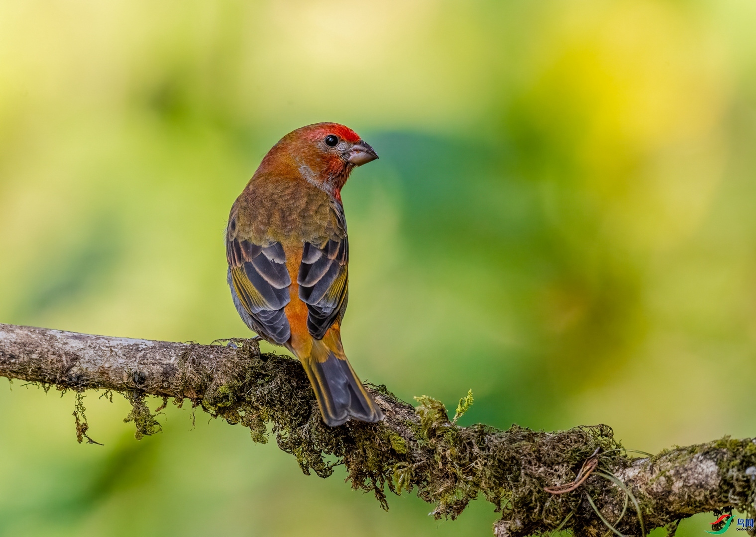 �ķ�ľ�� ��ʦ����������ʡ��ɽ���ڳ���.jpg