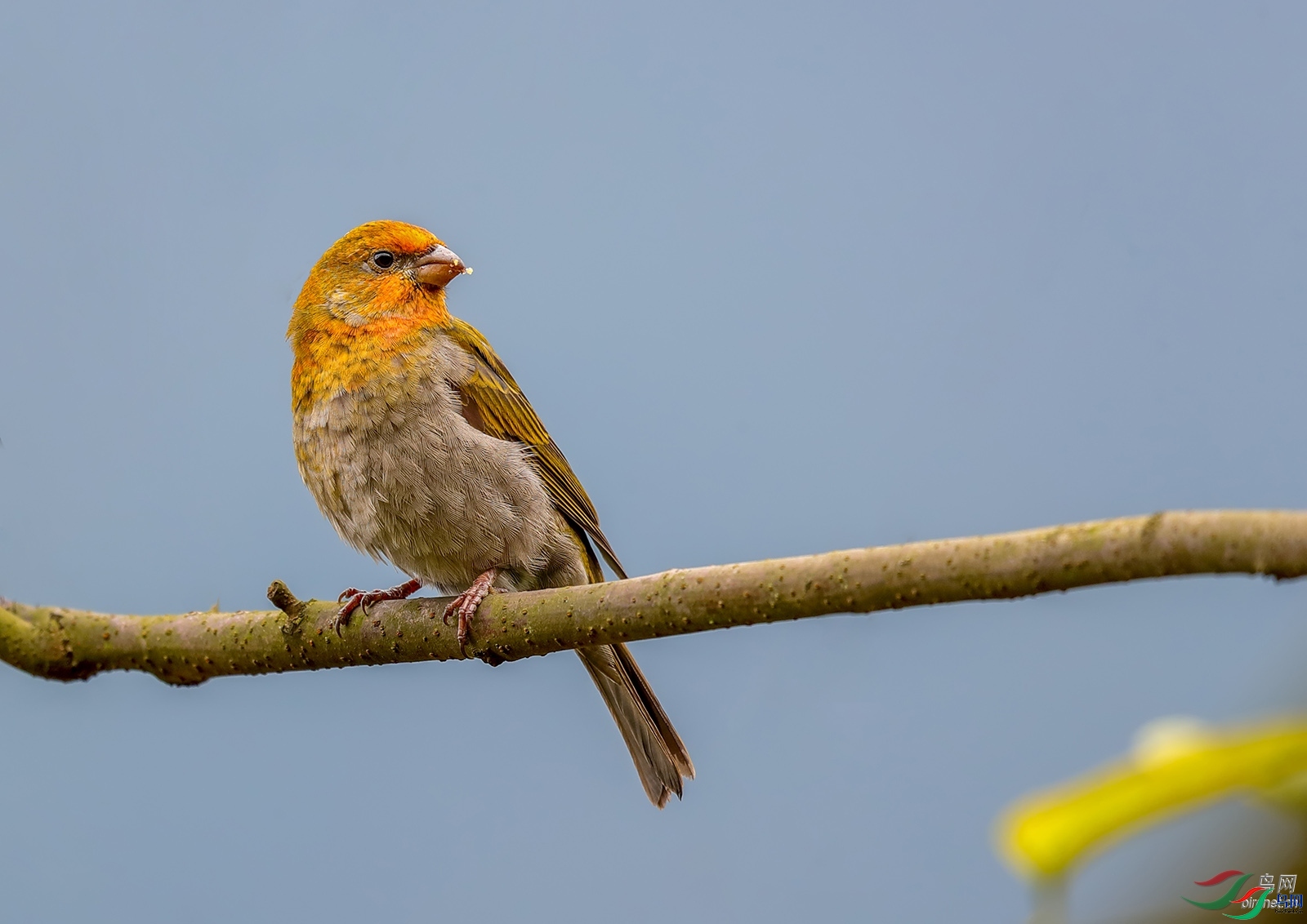 77089  ��ʦ�������Ĵ�ʡ������������2.jpg