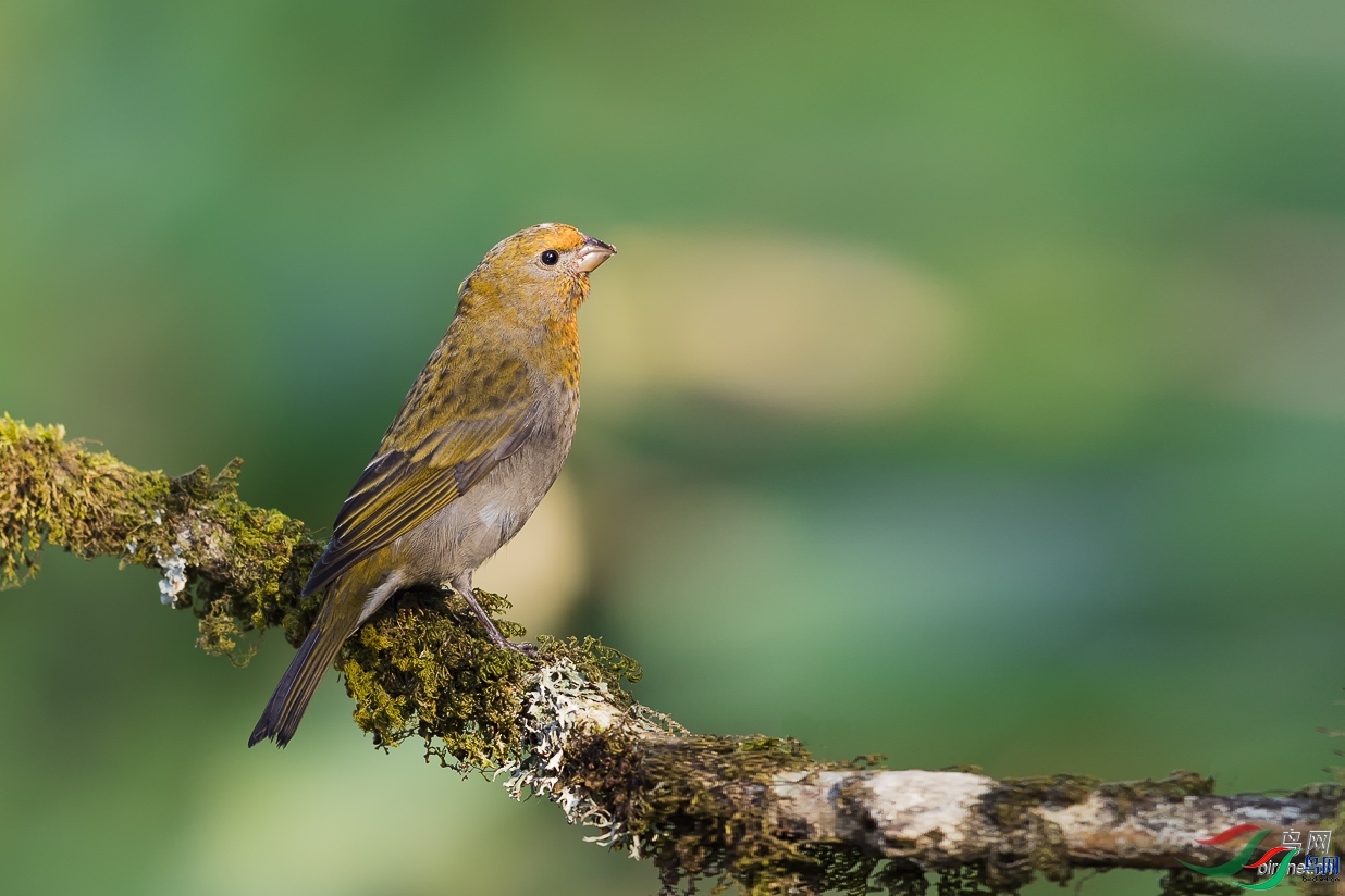 ���  ��ʦ����������ʡ��ɽ���ڳ���.jpg