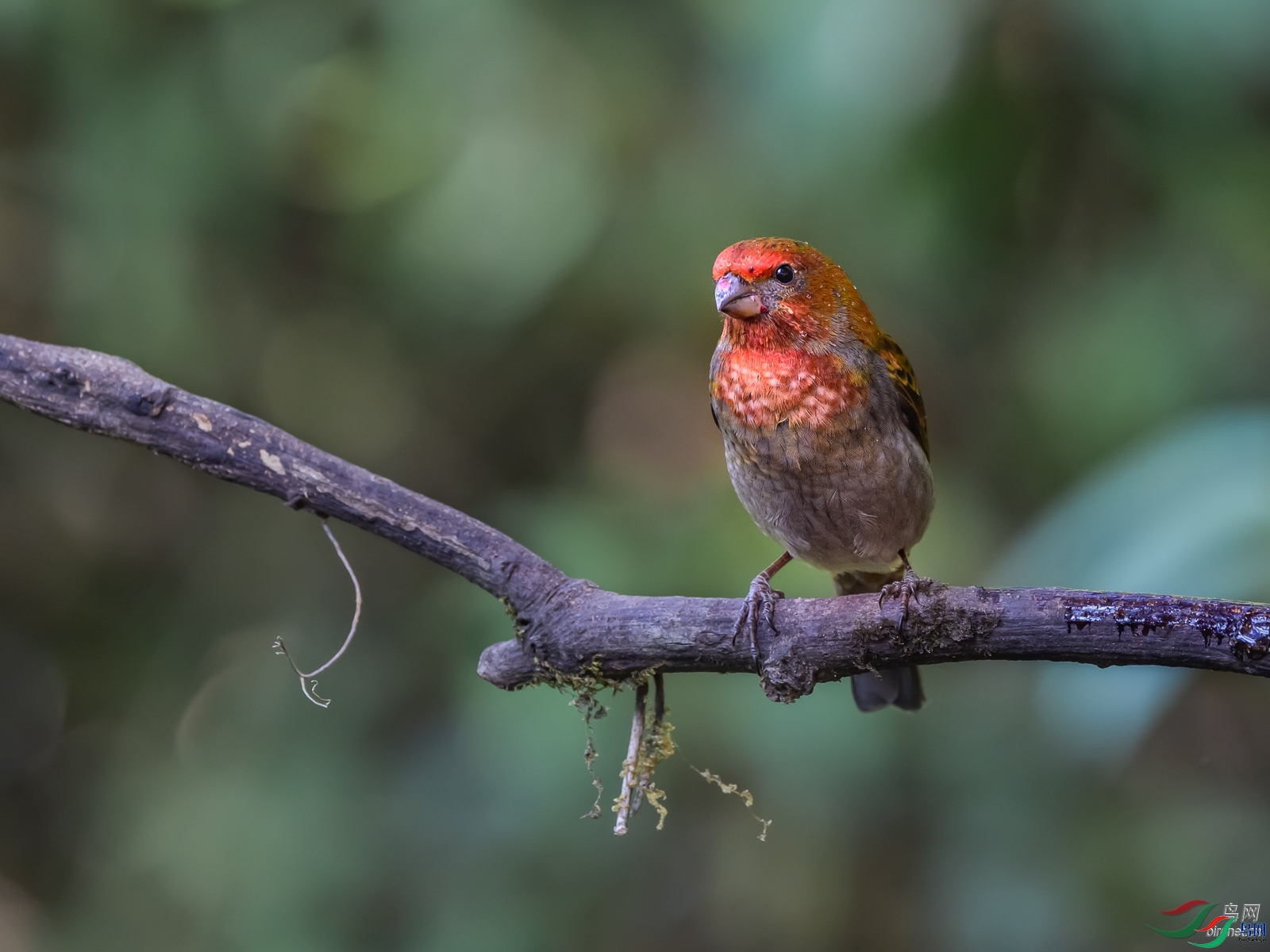 ����ͩ  ��ʦ����������ʡ��ɽ���ڳ���.jpg