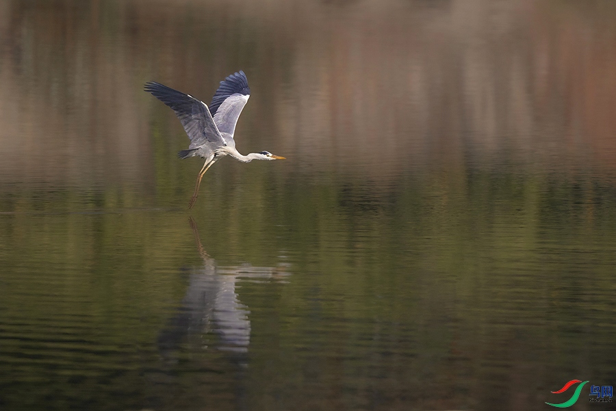 131A1896 ����.jpg