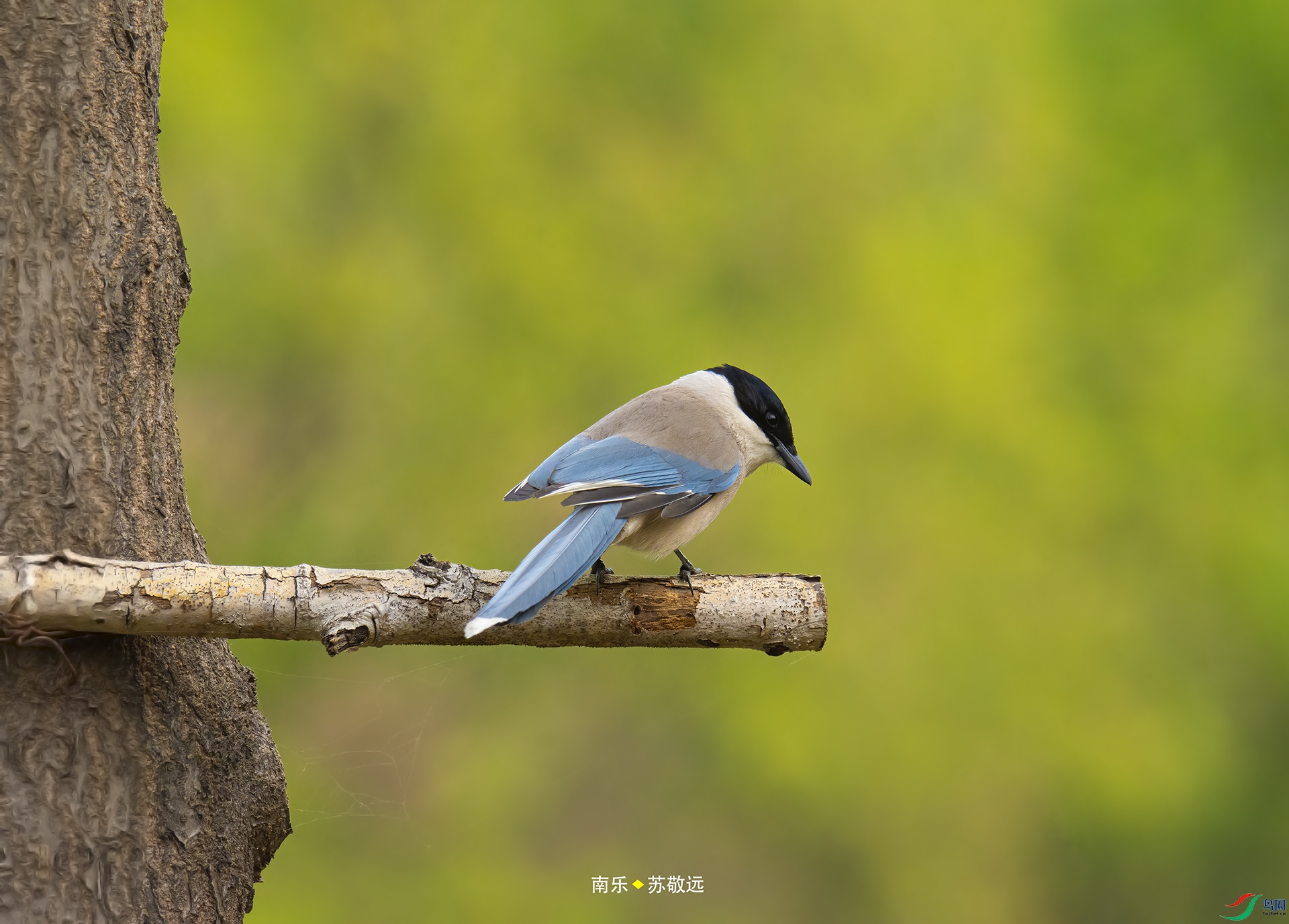 _DSC6939С.jpg