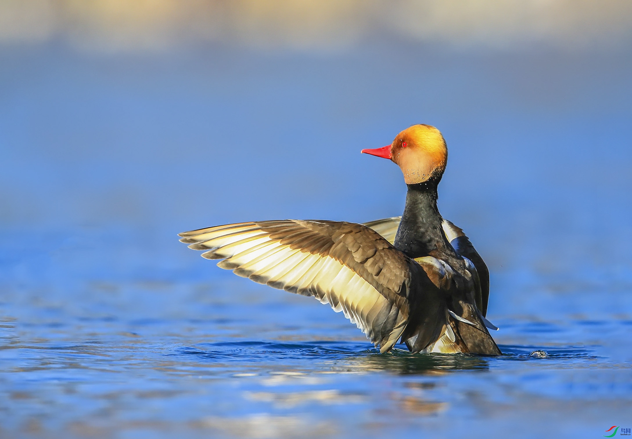 ����Ͳ (19)-.jpg