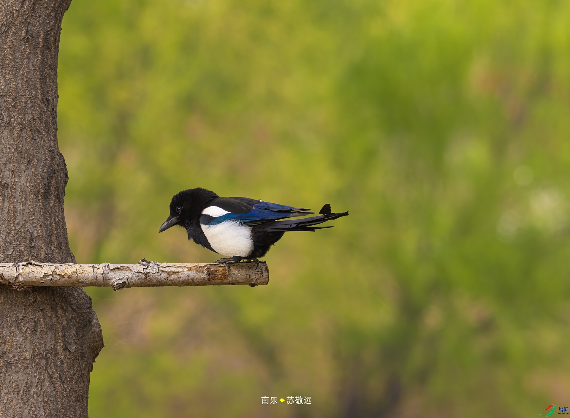 _DSC6969С.jpg