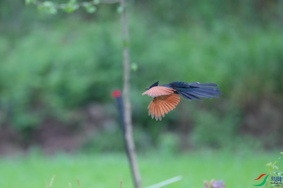 DSC08404_cr-18.jpg