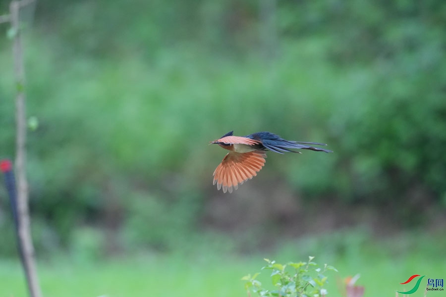 DSC08401_cr-15.jpg