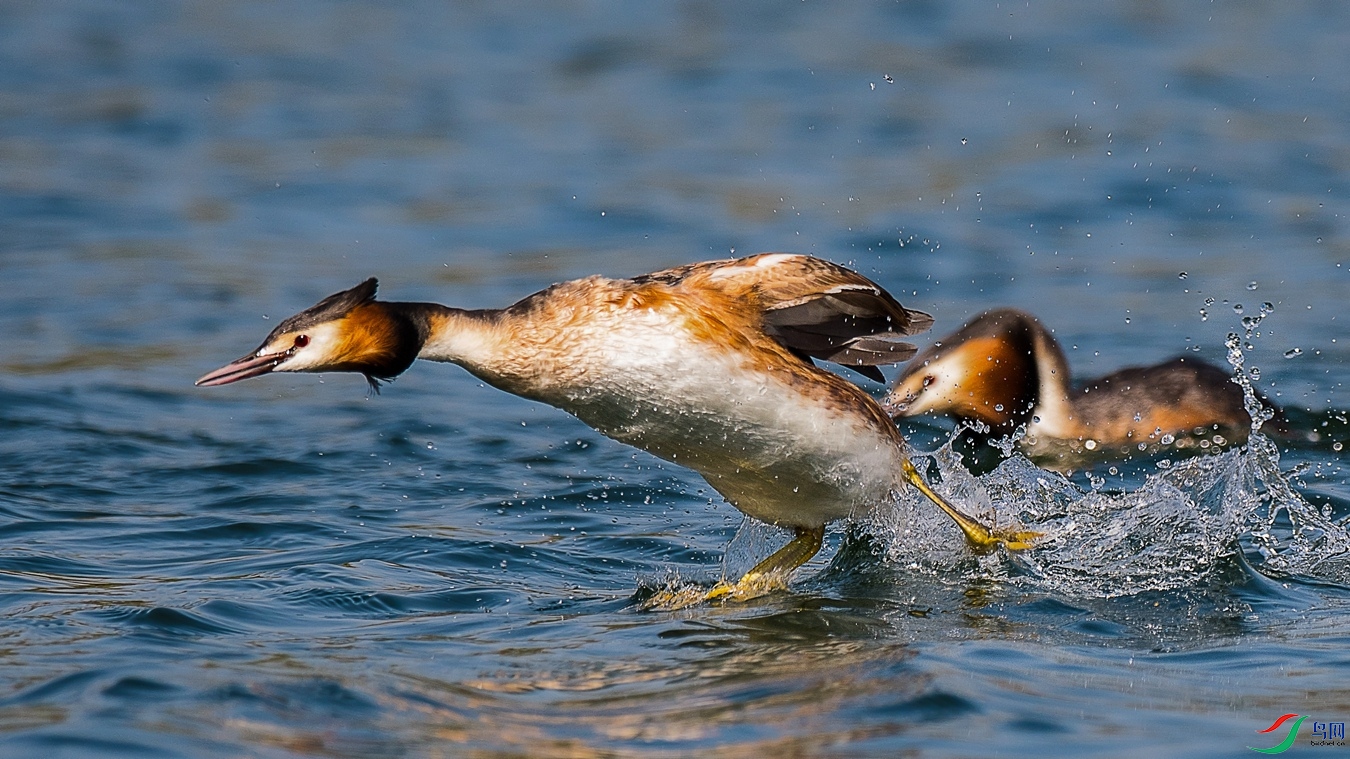 XC5_6584 - ����.jpg