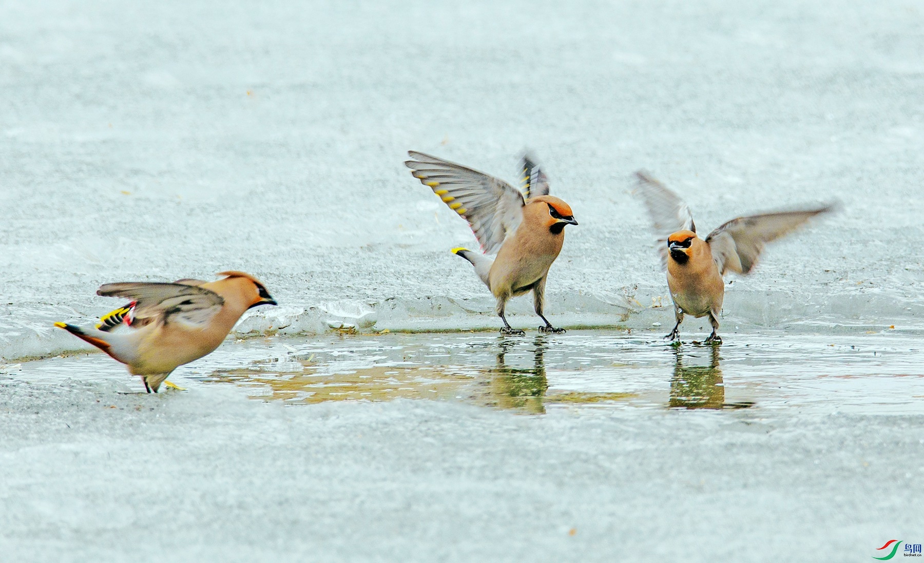 ˮ��̫ƽ (2).jpg