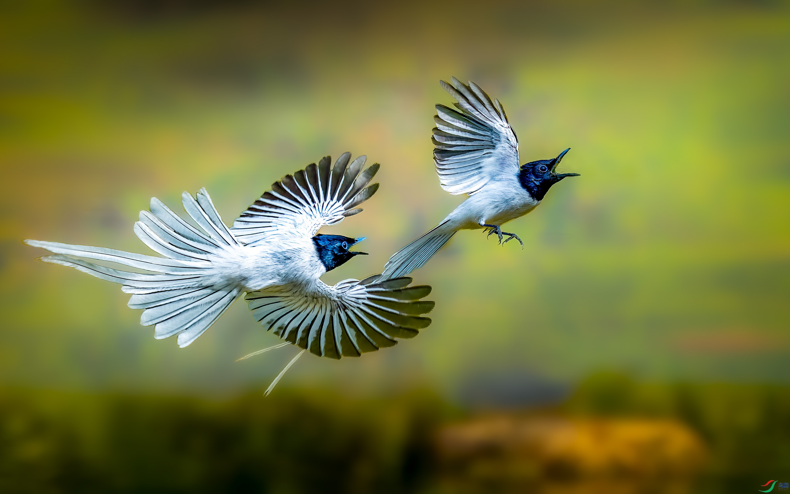 GUO_6345-B.jpg