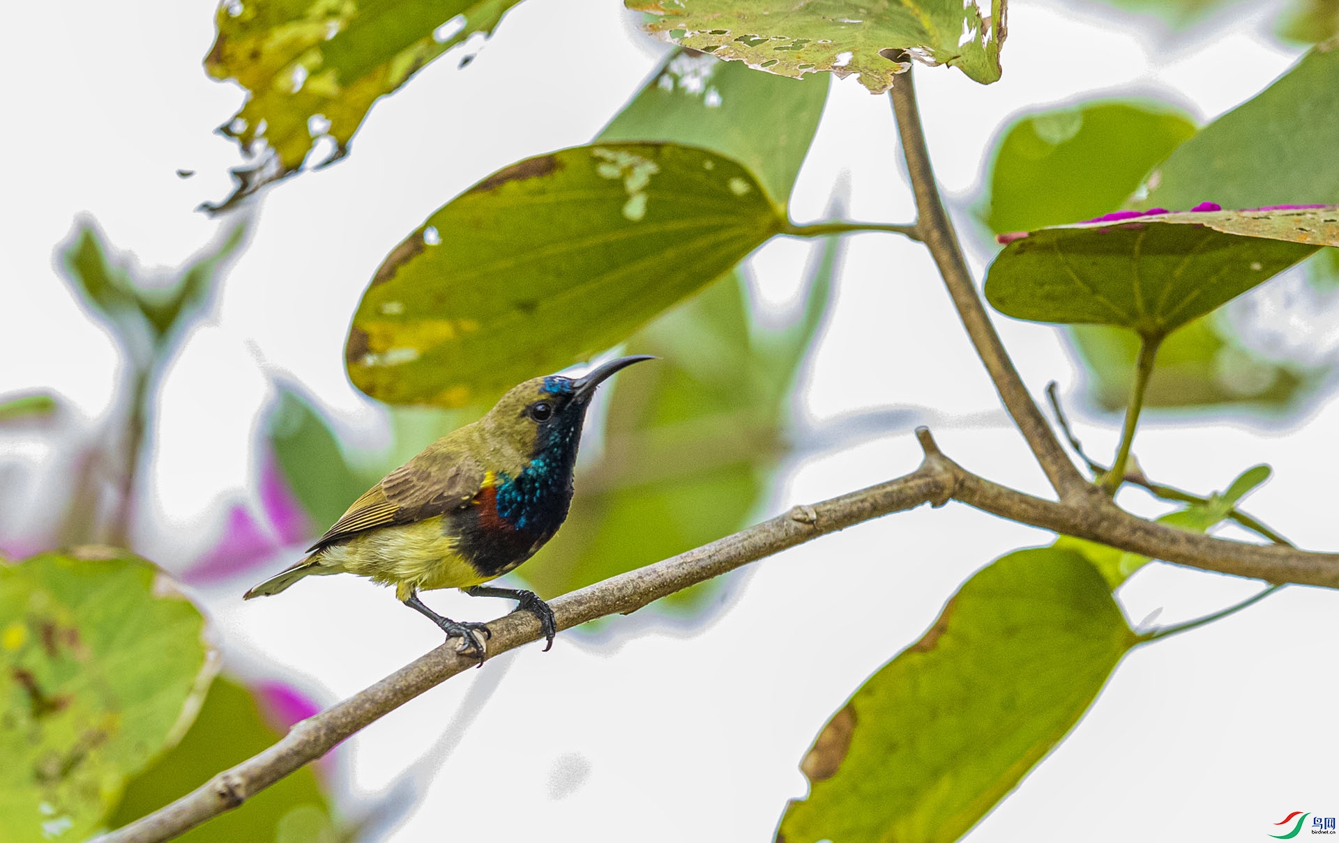 AE8I6976 ����-1.jpg