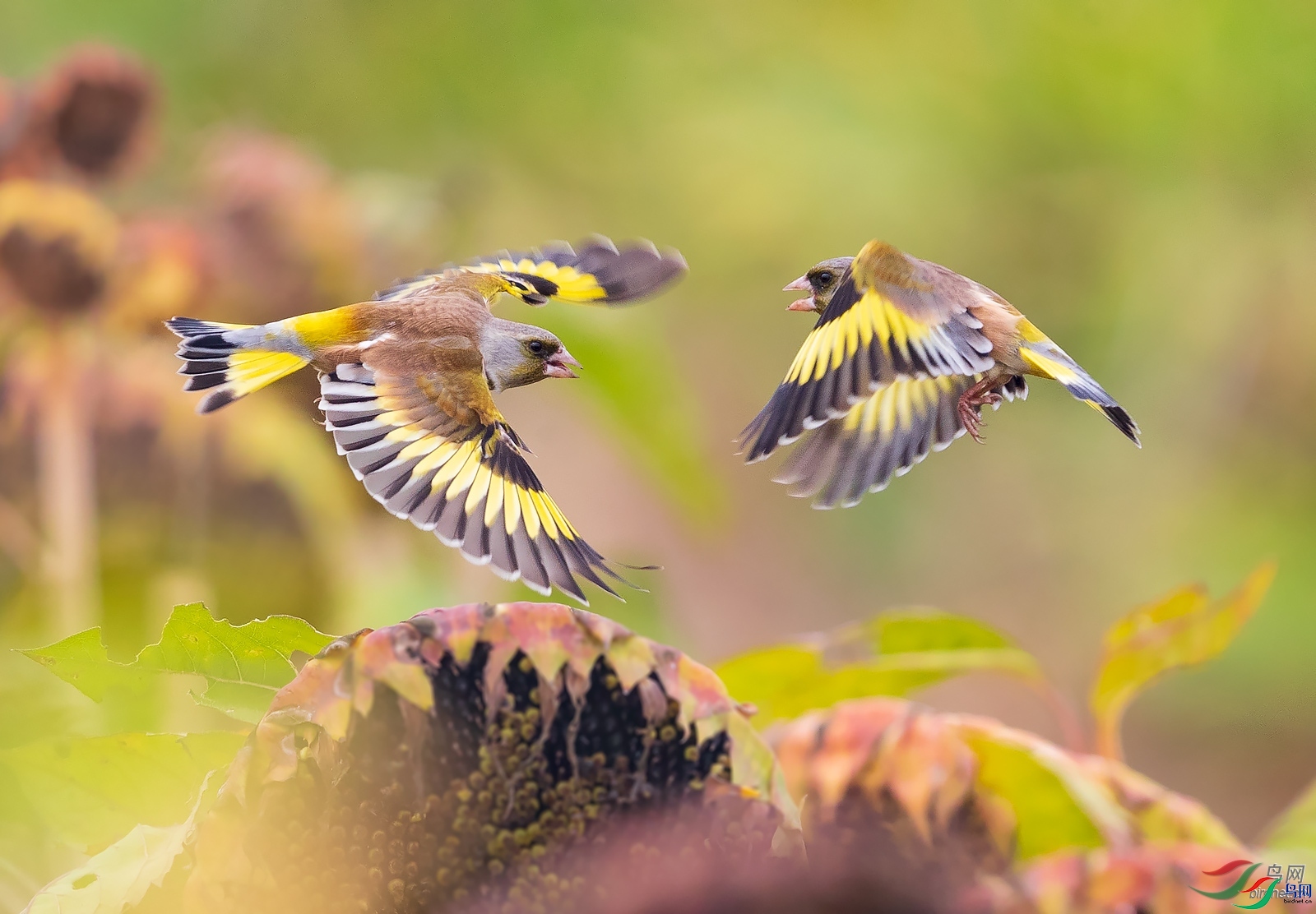 ����һ��  ��ʦ�����ڽ���ʡ�γ��ж�����.jpg