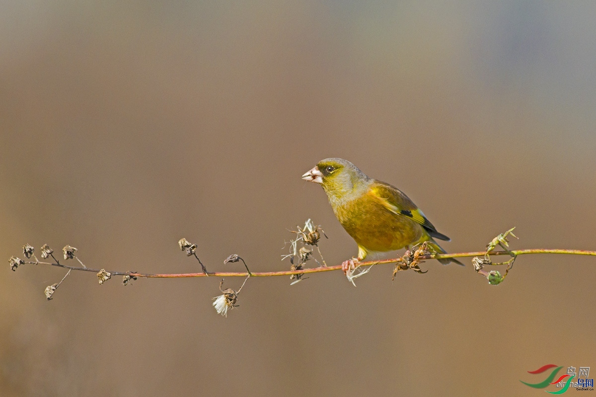 ������  ��ʦ�����ں���ʡ��ɳ����ɳ��.jpg