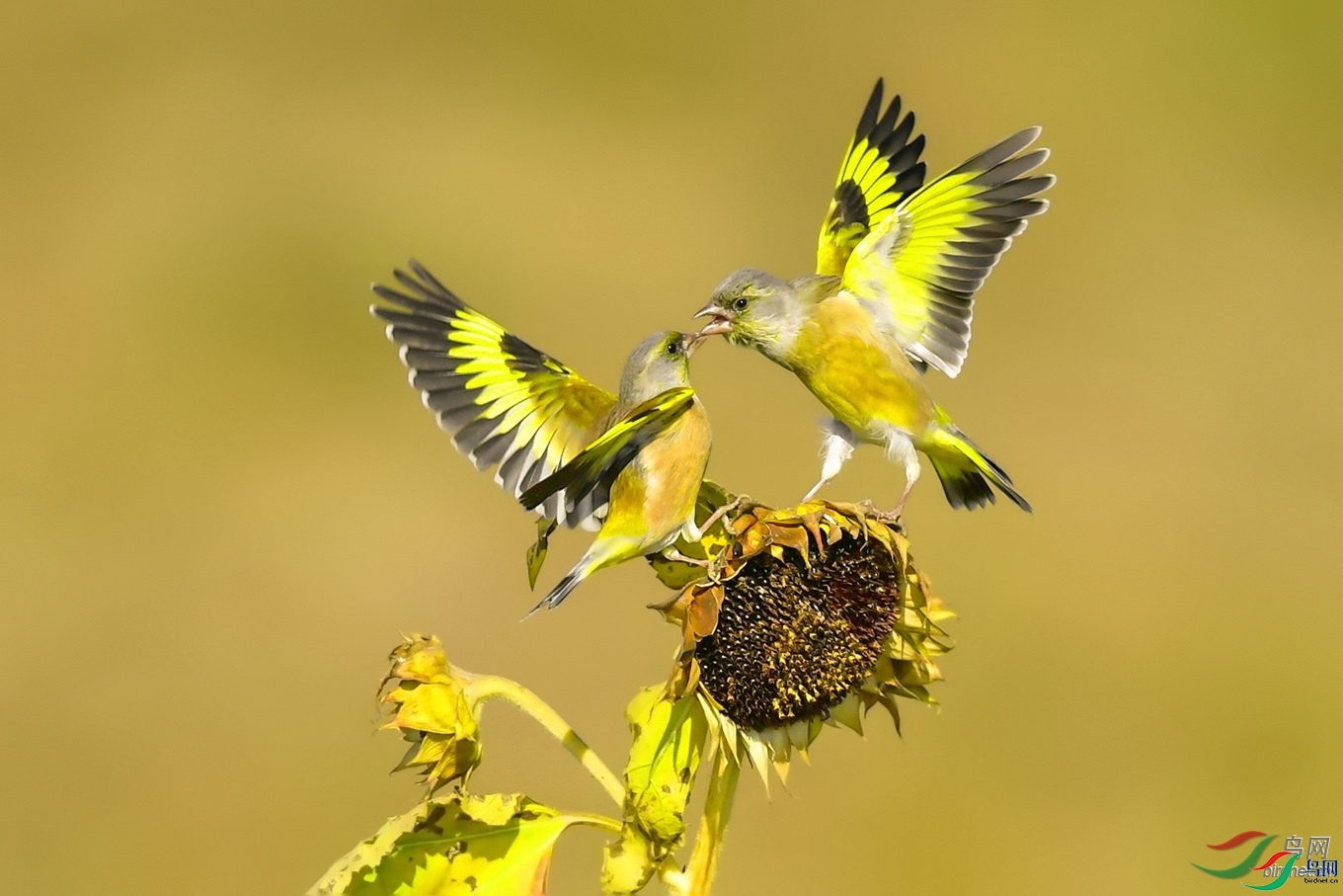 ��������  ��ʦ�����ڽ���ʡ�Ͼ���.jpg