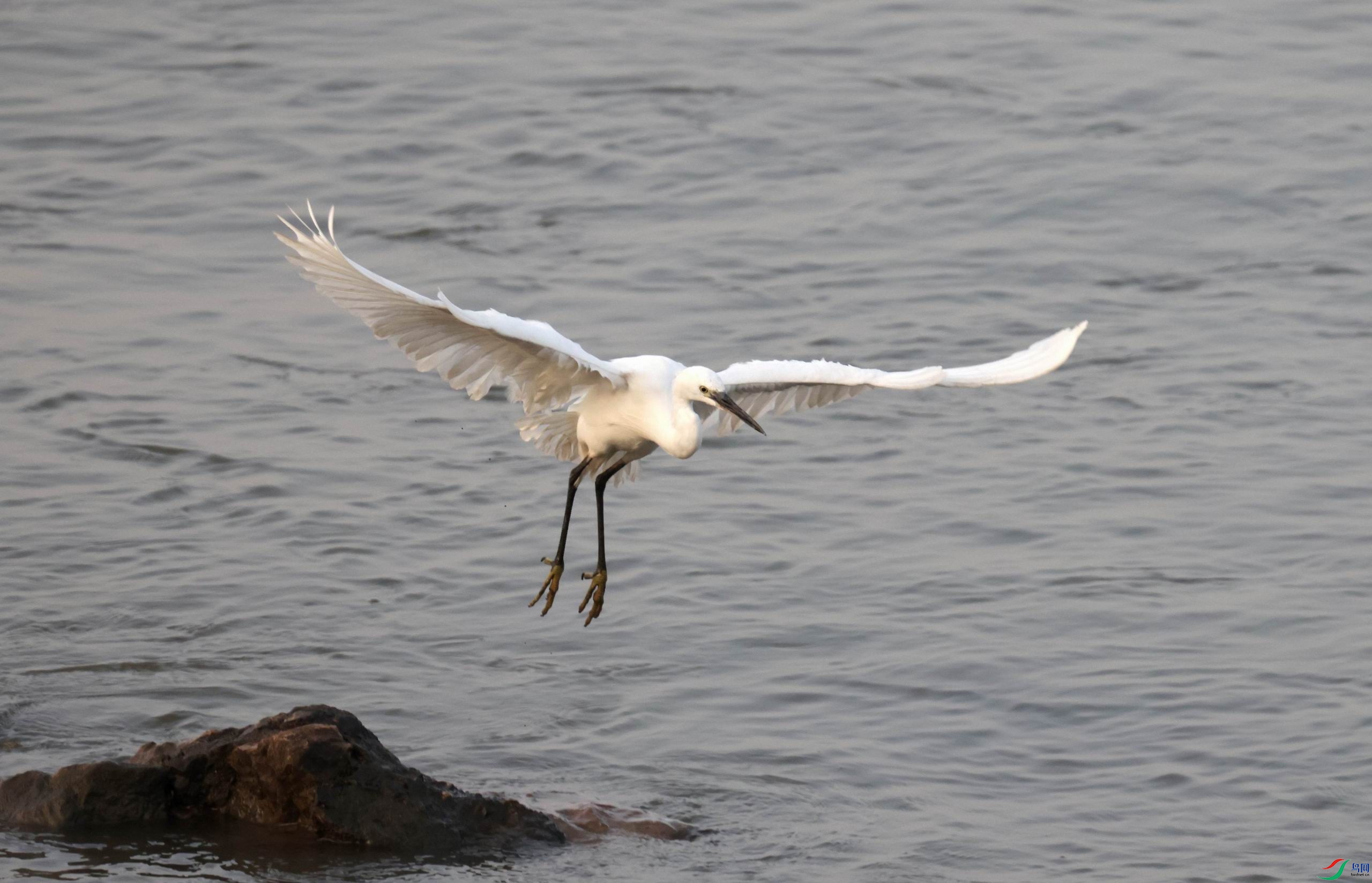 ������С �����ع� 0E5A385211.jpg