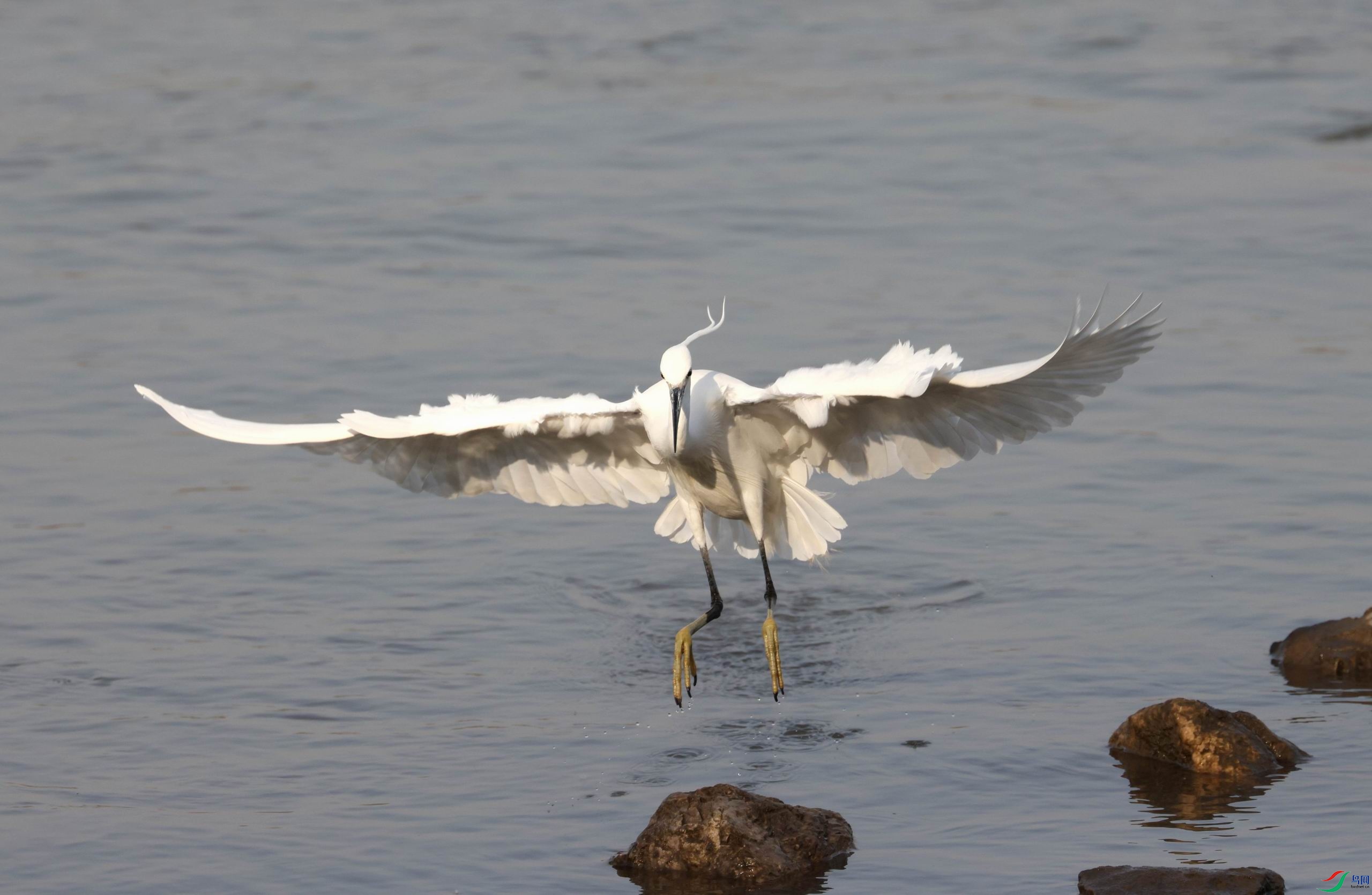 ������С �����ع� 0E5A0091.JPG