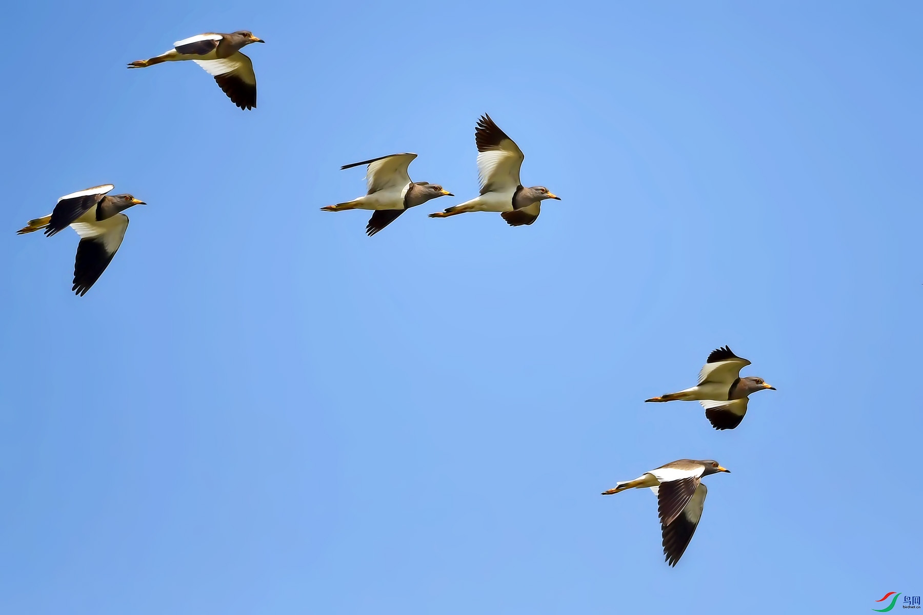 DSC_0776.jpg