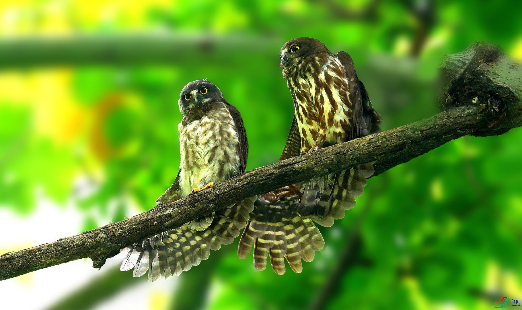 AK5I8670 ����.jpg