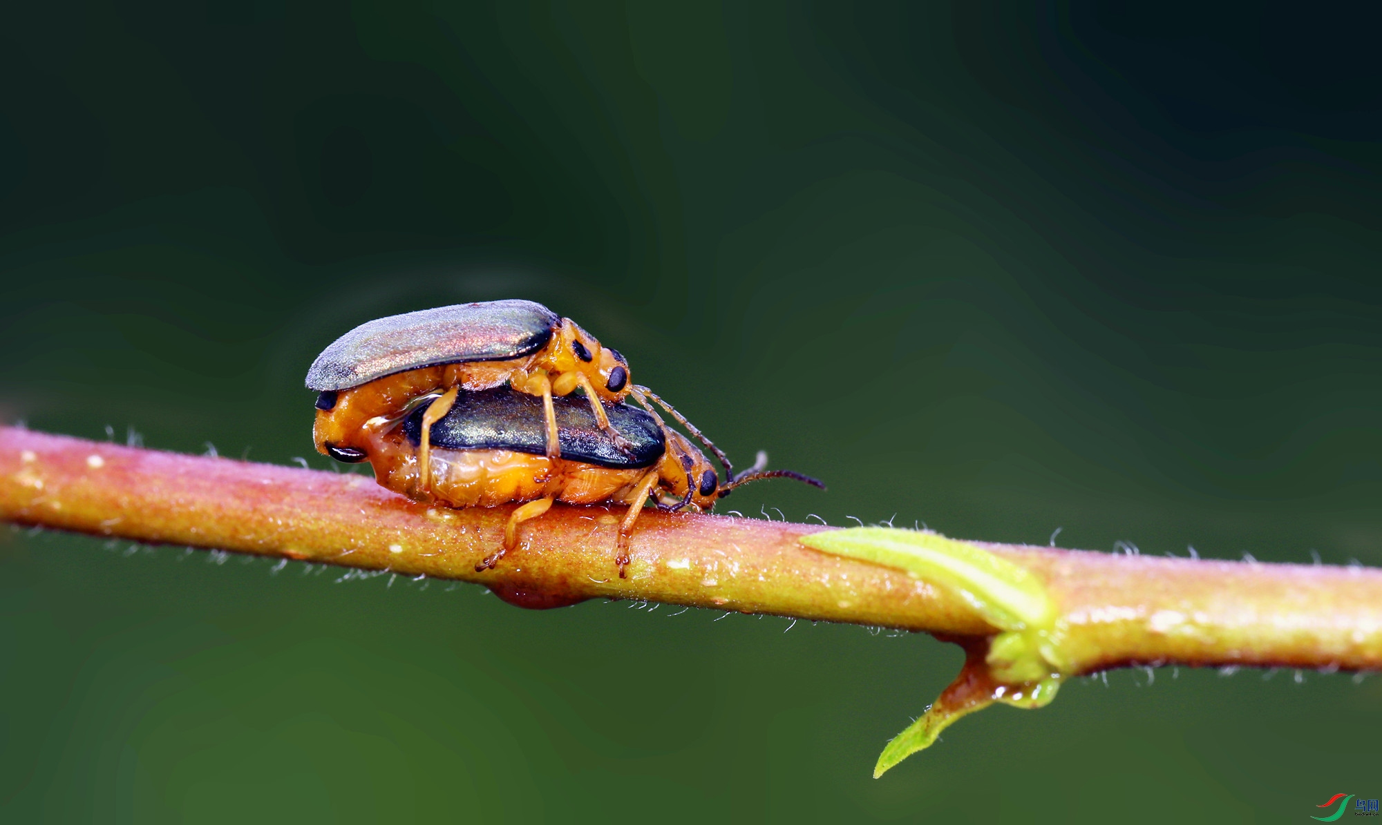 EC6A9599_����.jpg