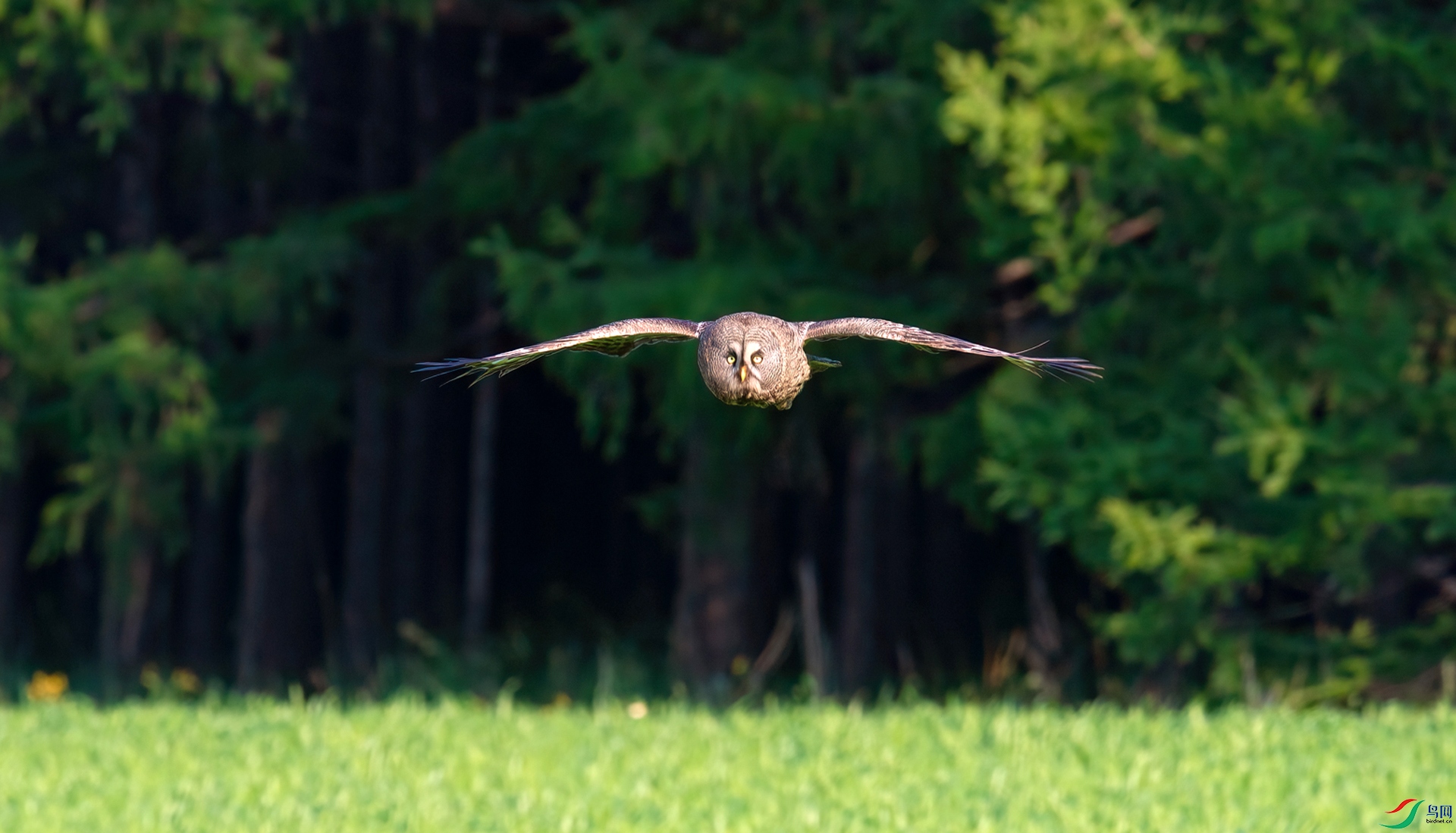 _DSC6530==2w.jpg