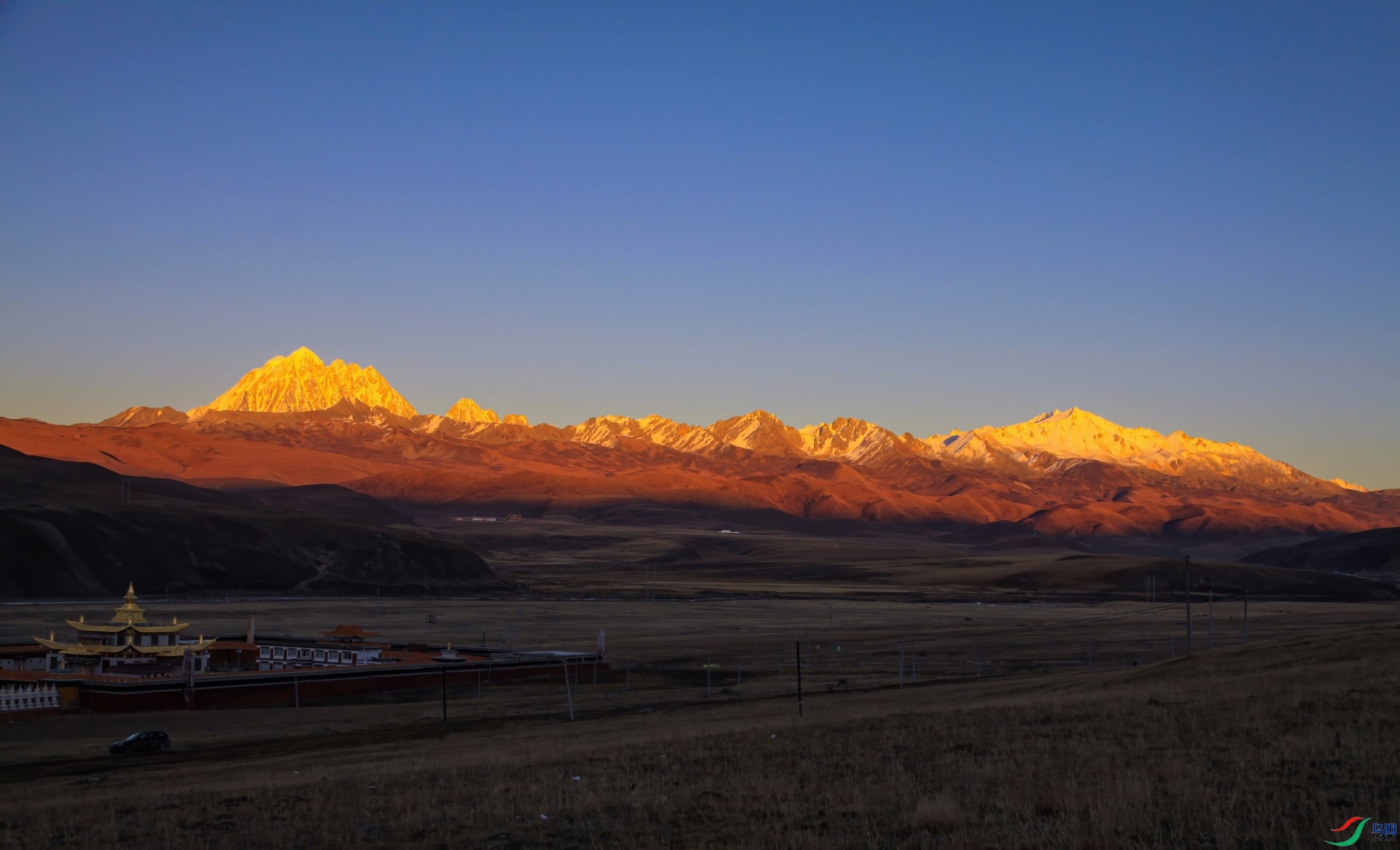 IMG_3046-denoise-denoise (1).jpg