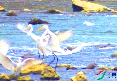 DSC01463.JPG