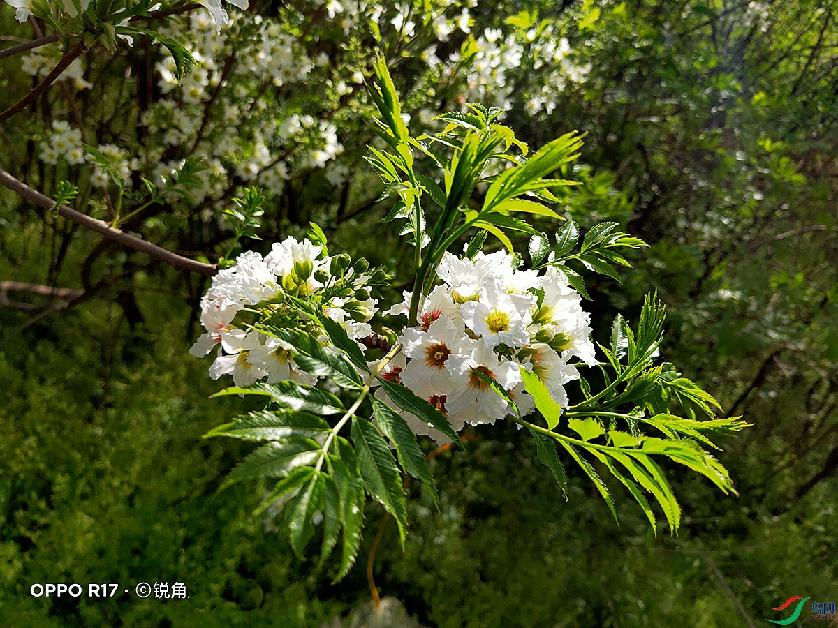 IMG20220407085101.jpg