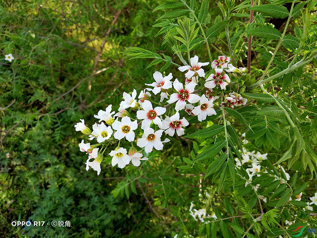 IMG20220407085522.jpg