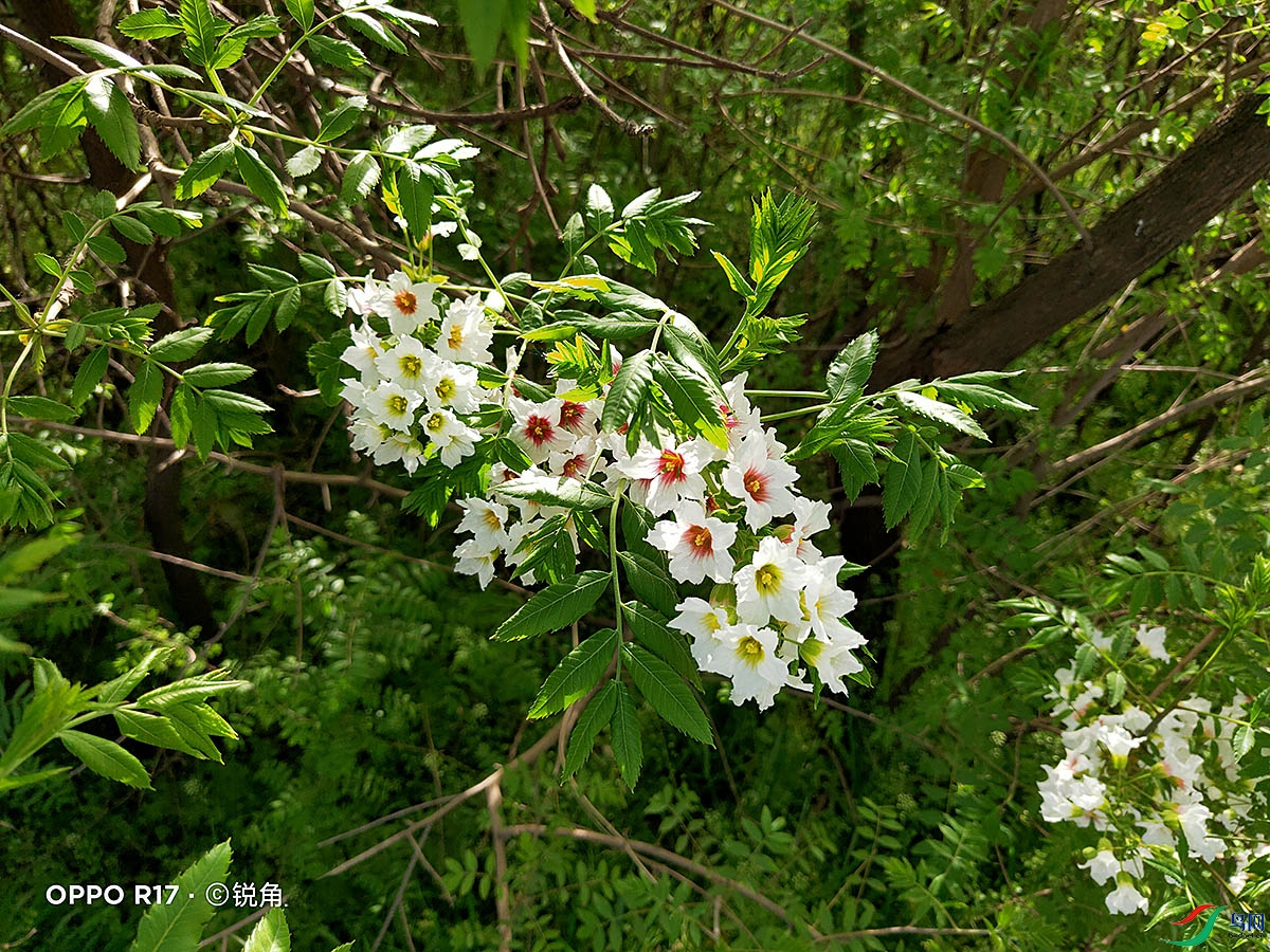 IMG20220407085408.jpg