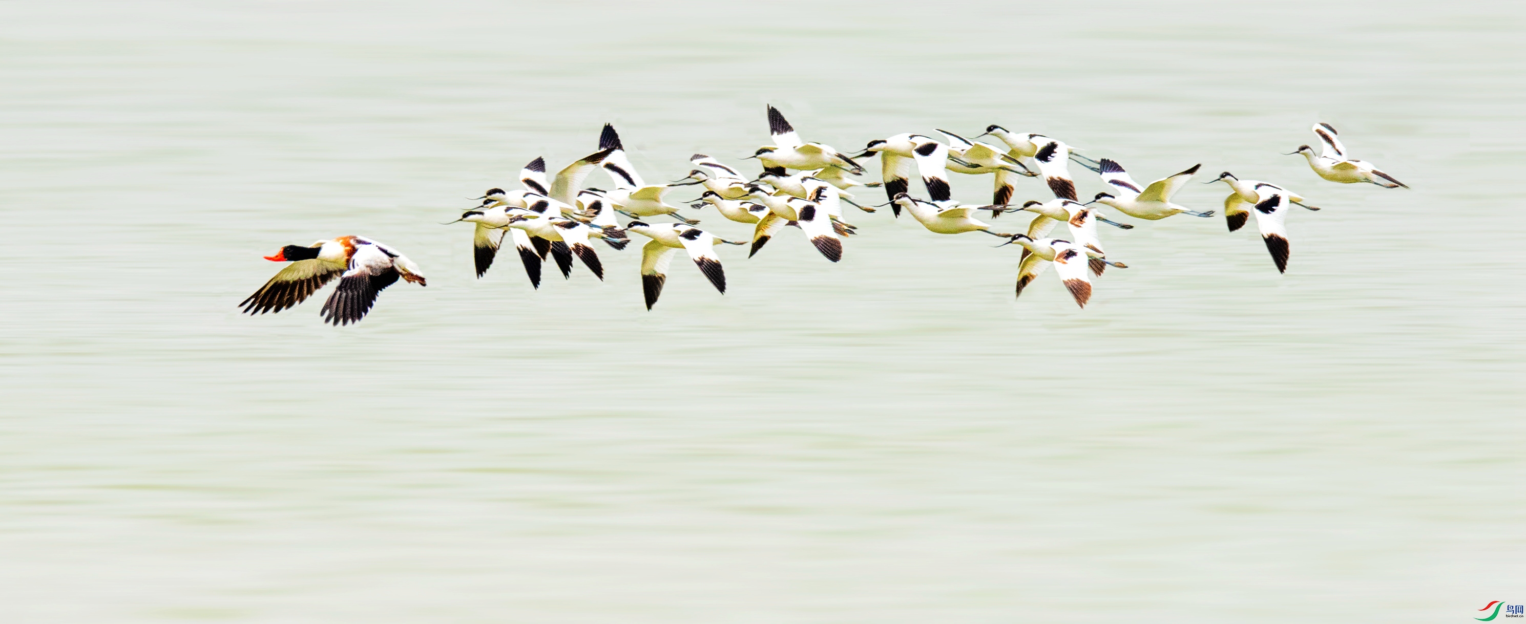 ABP_5405_����.jpg