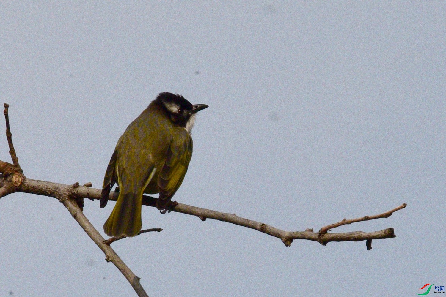 DSC_0209.JPG