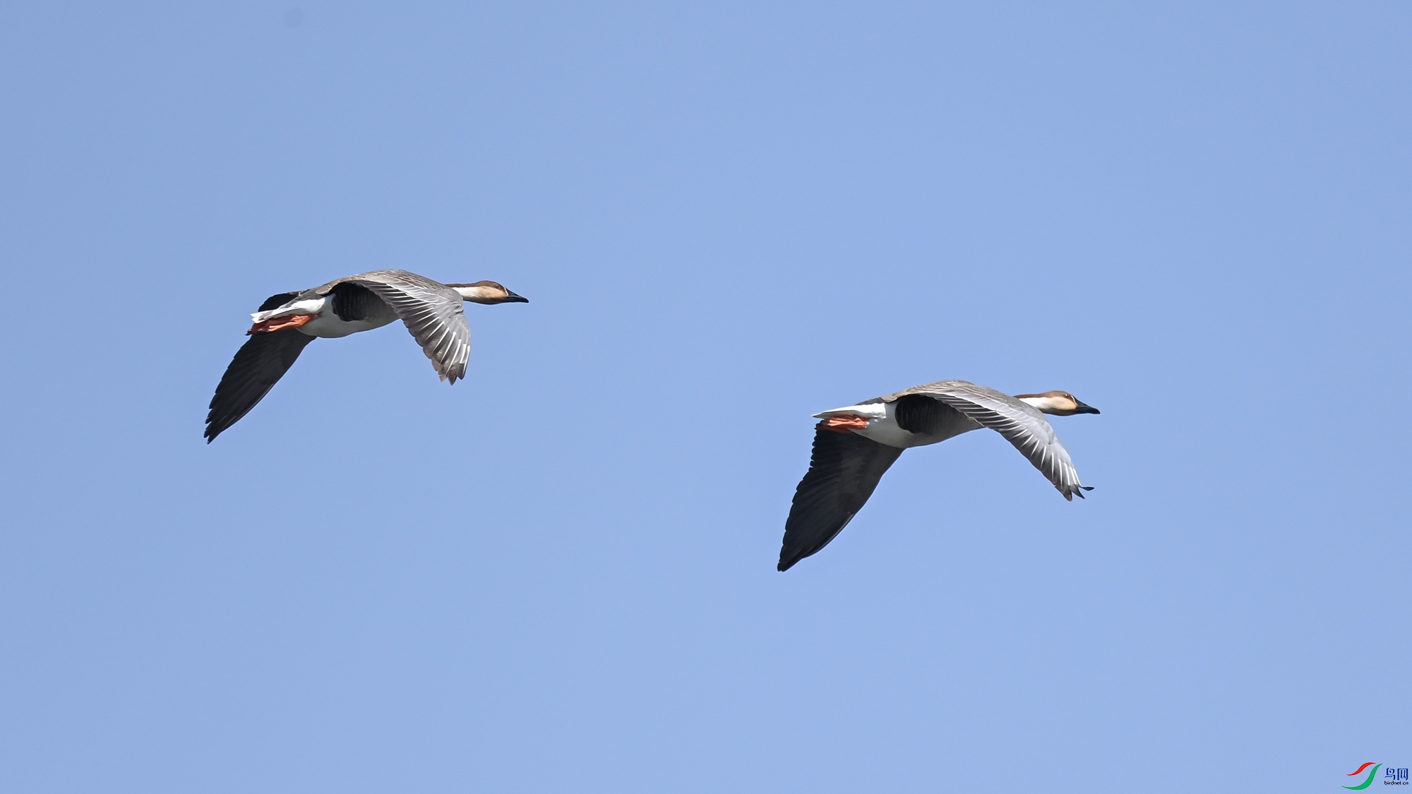 DSC_8994.JPG