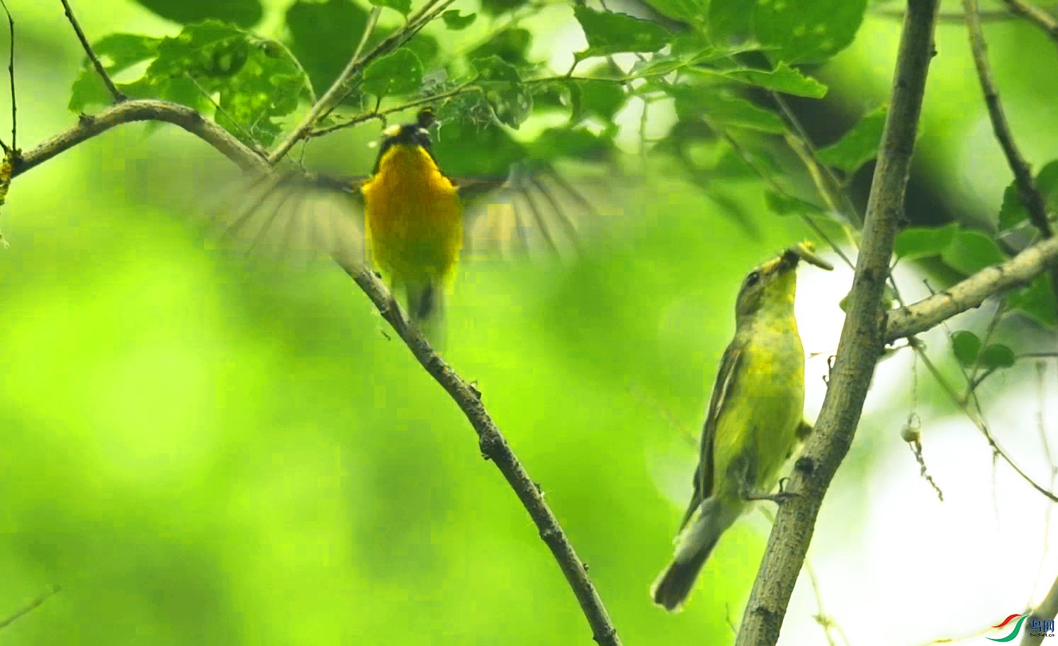 ��ʽ�������� DSC_9761 DSC_9818 DSC_9795 DSC_9829 DSC_9829 DSC_9906 DSC_9769~1_Moment��ü���l-15-01-01-p-2.jpg