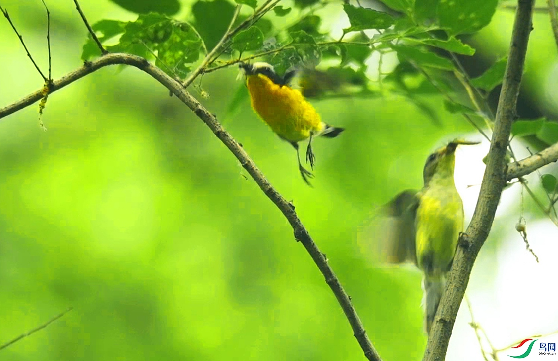 ��ʽ�������� DSC_9761 DSC_9818 DSC_9795 DSC_9829 DSC_9829 DSC_9906 DSC_9769~1_Moment��ü���l-16-01-01-p-2.jpg