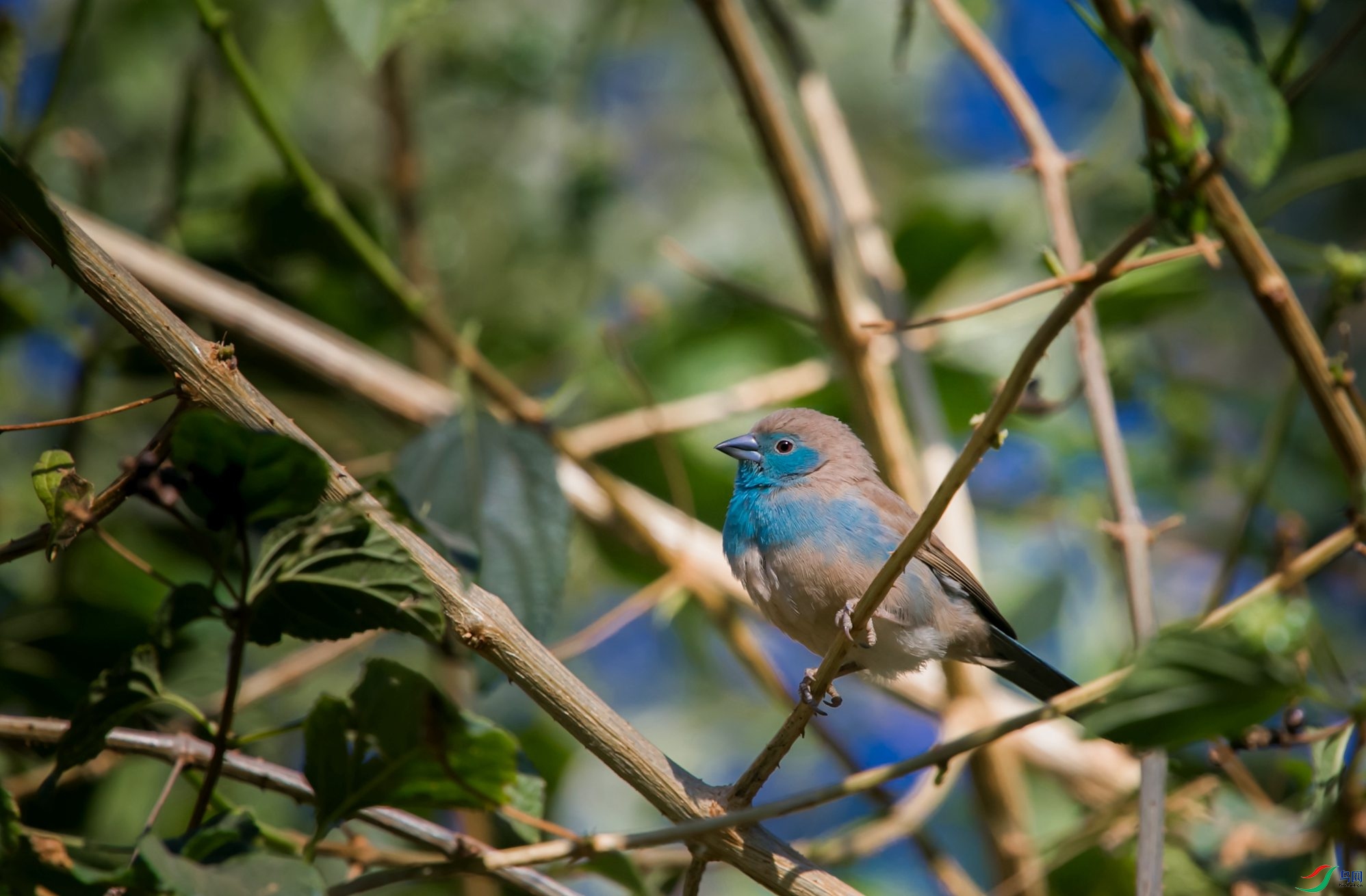 ��������ȸ