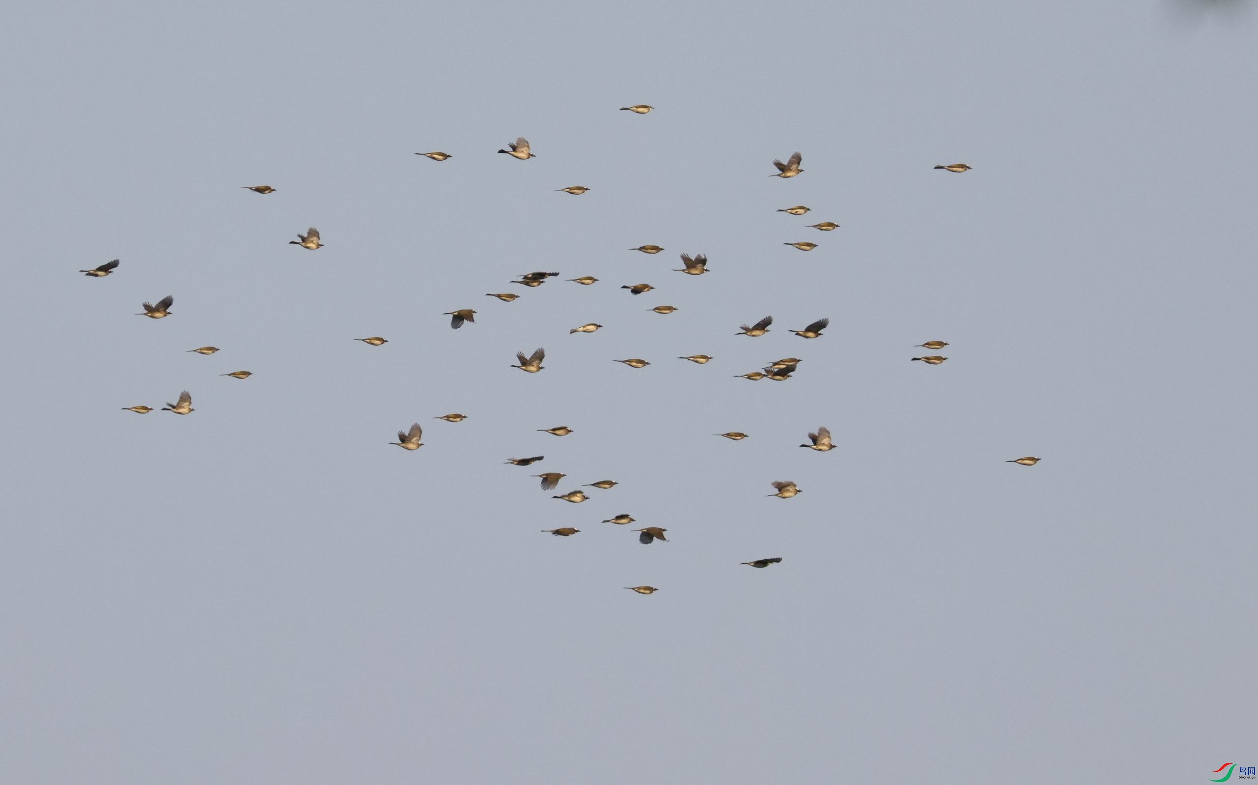 ������С �����ع� 0E5A9935.JPG