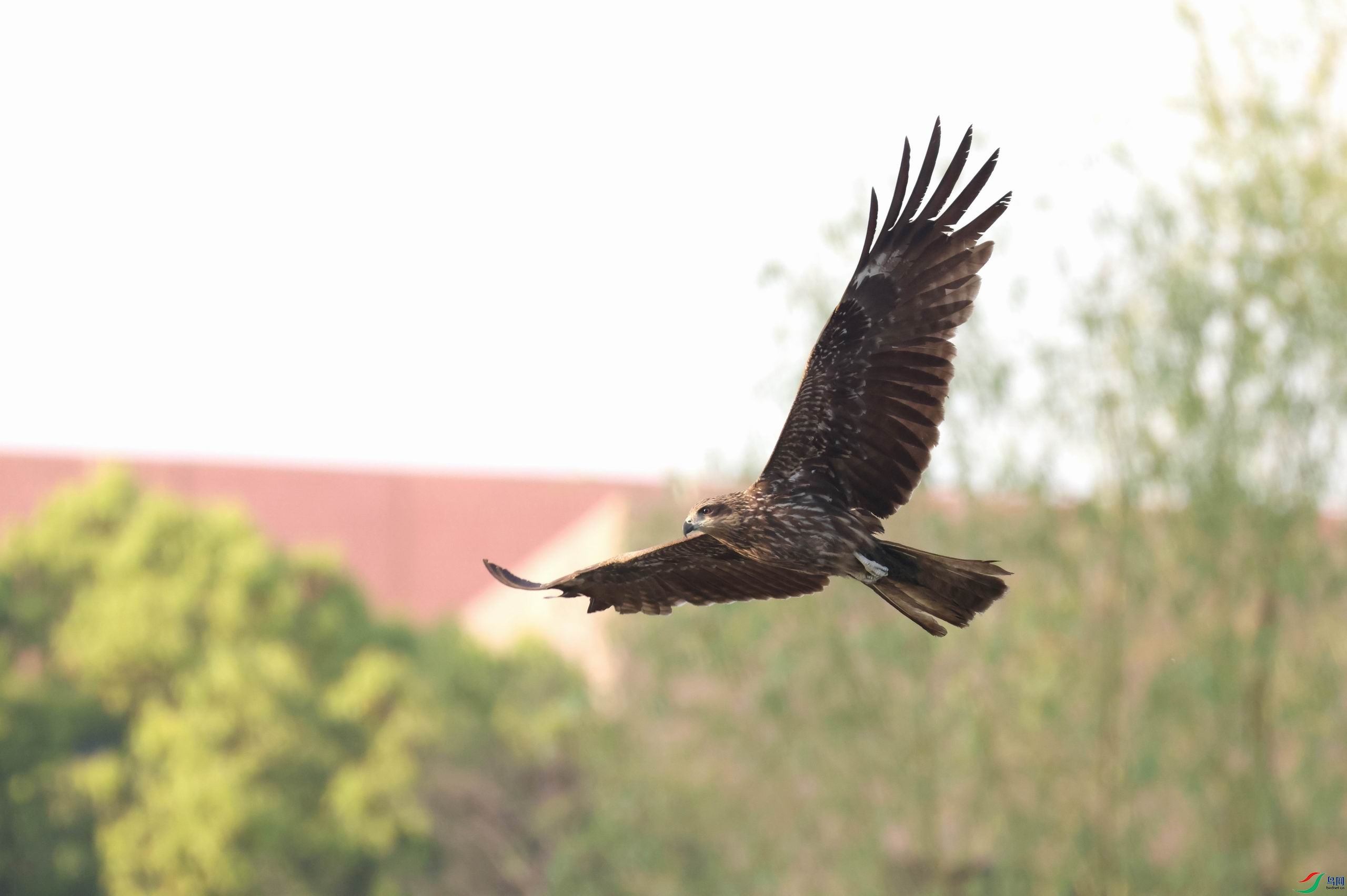 ������С �����ع� 0E5A9782.JPG