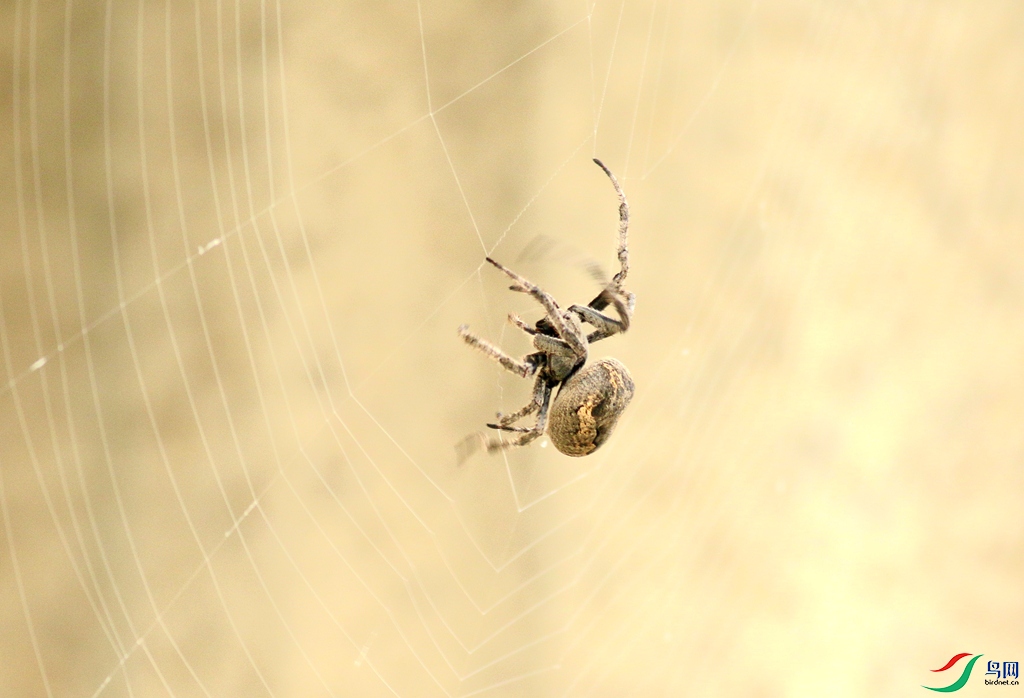 367A2681_����.jpg