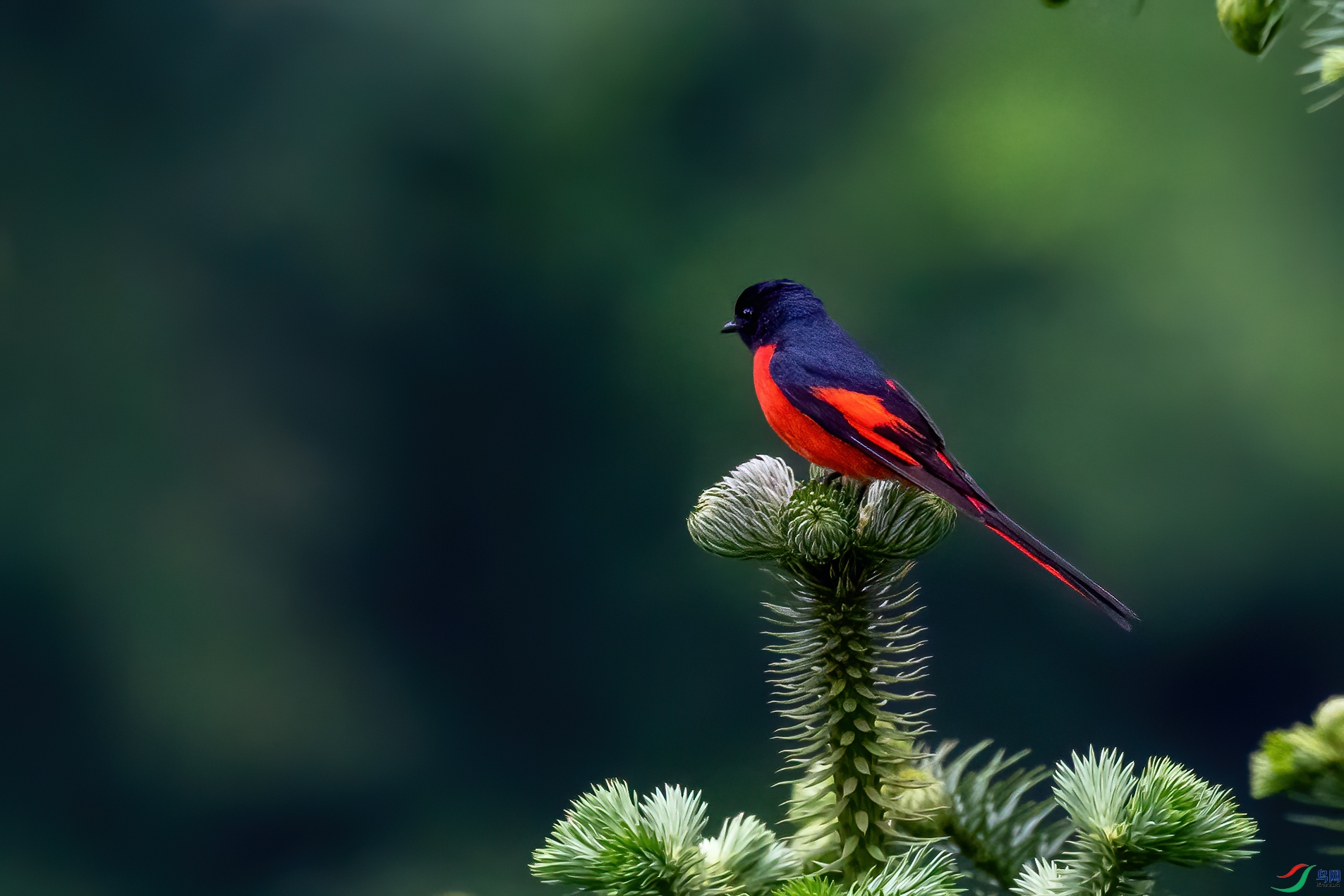 _DSC6560-1.jpg