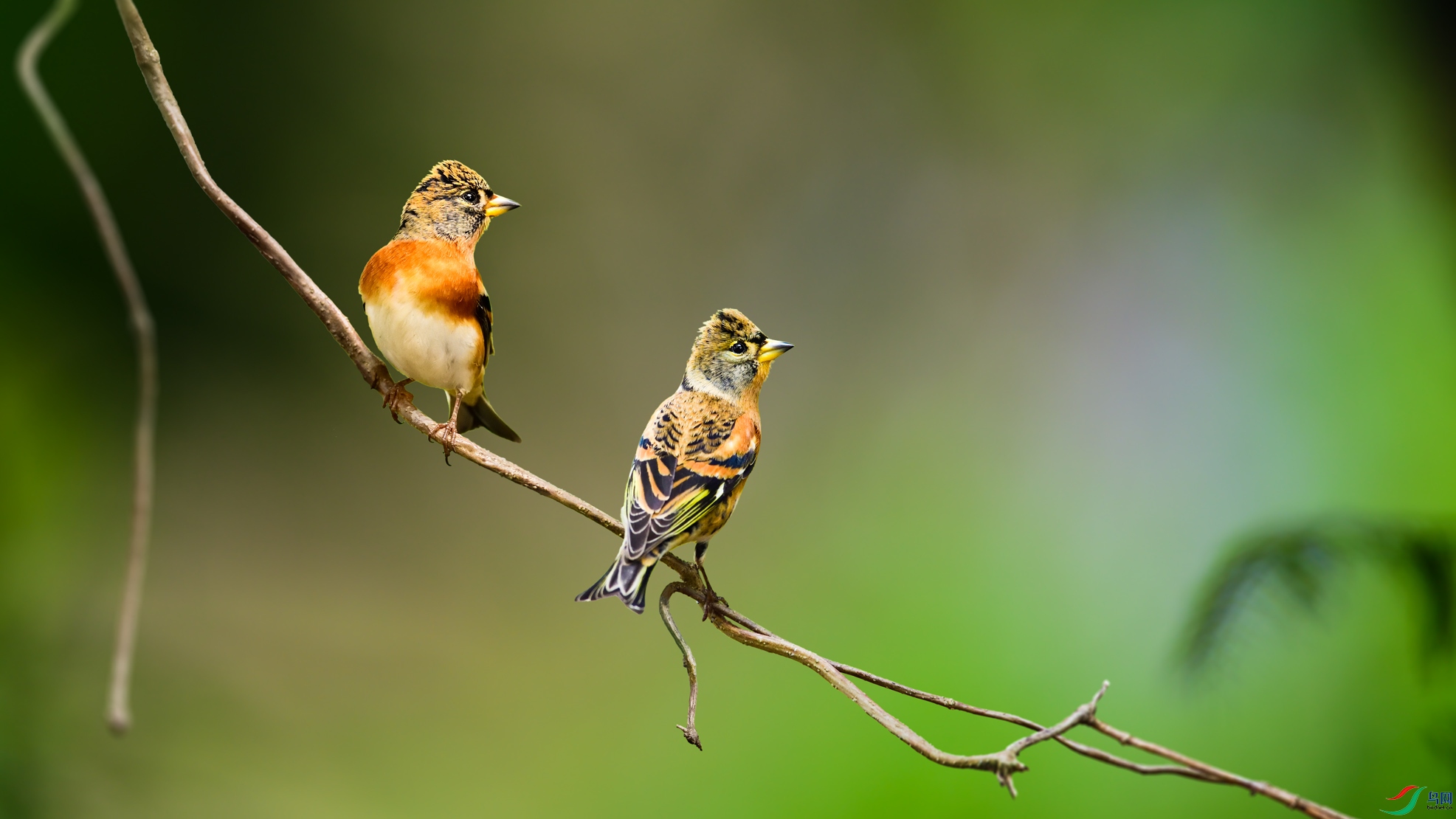 ��ȸDSC_6418.jpg